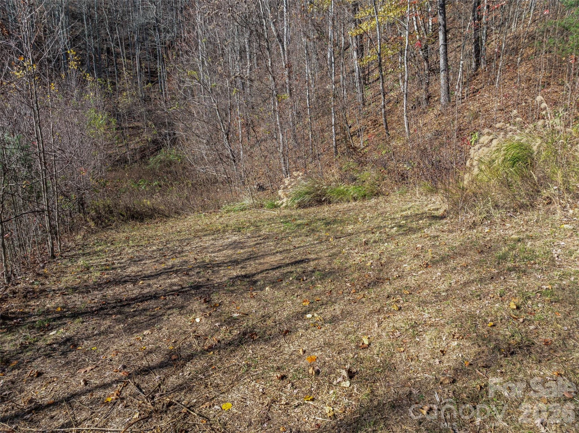 TBD Walnut Creek Road - Photo 7