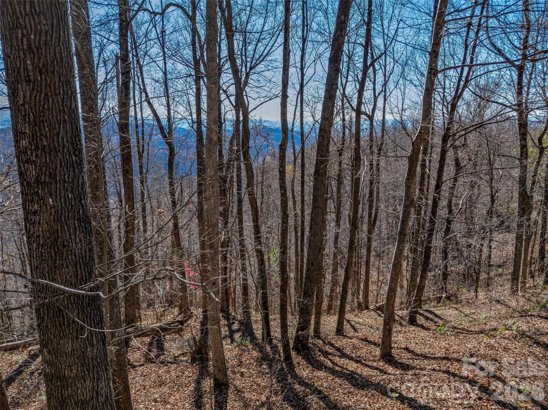 TBD Walnut Creek Road - Photo 9