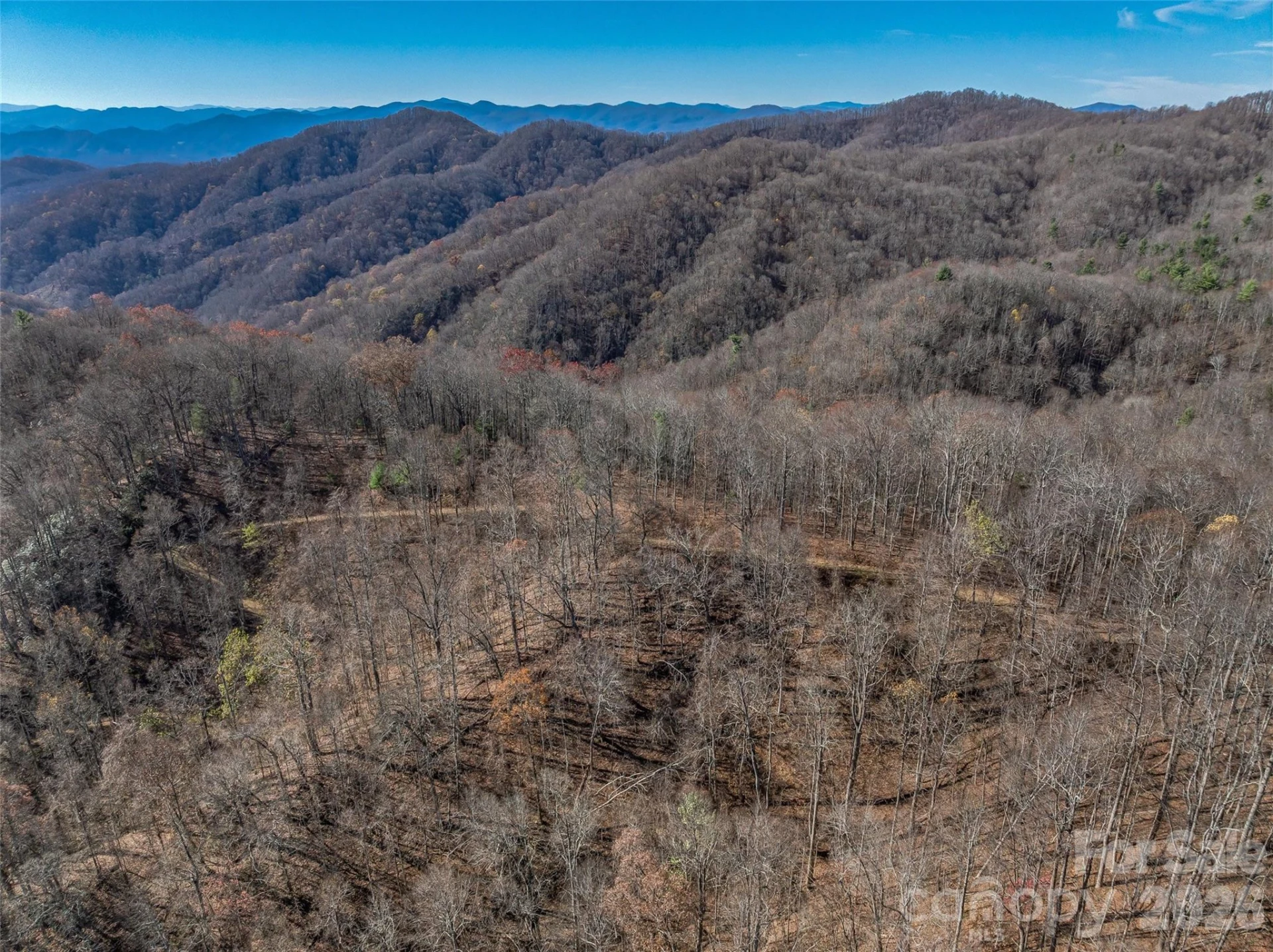 TBD Walnut Creek Road - Photo 13