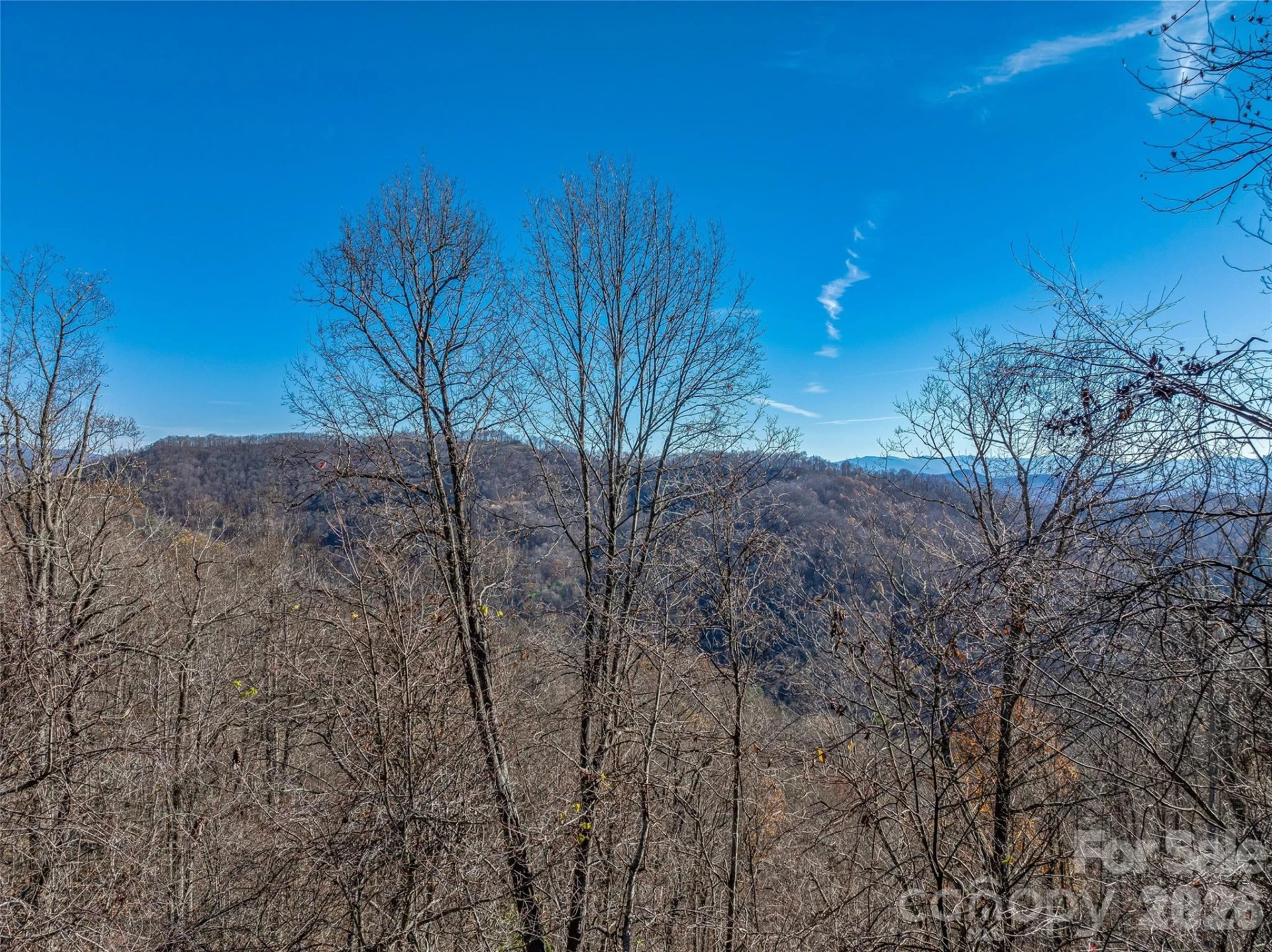 TBD Walnut Creek Road - Photo 14