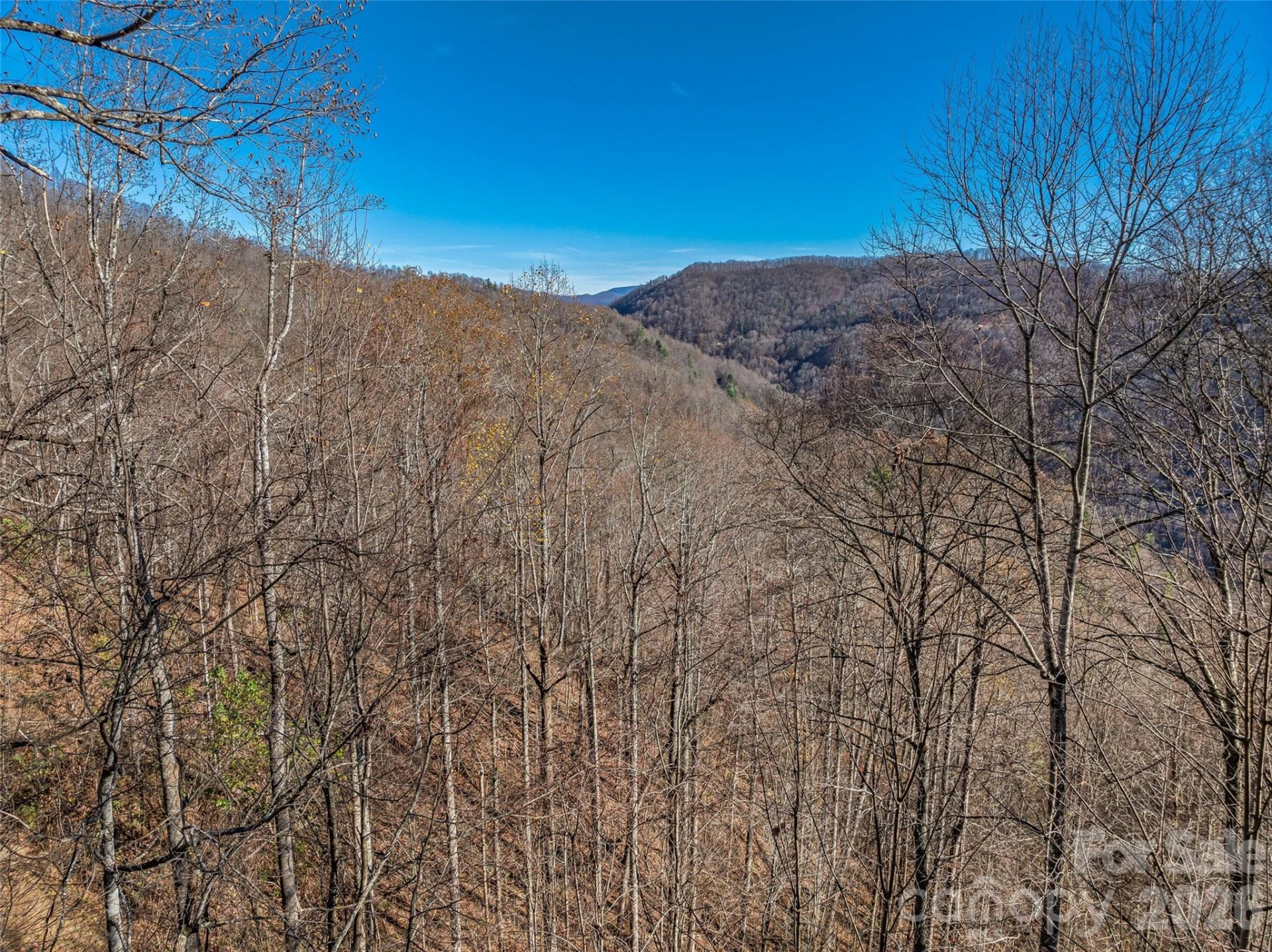 TBD Walnut Creek Road - Photo 16