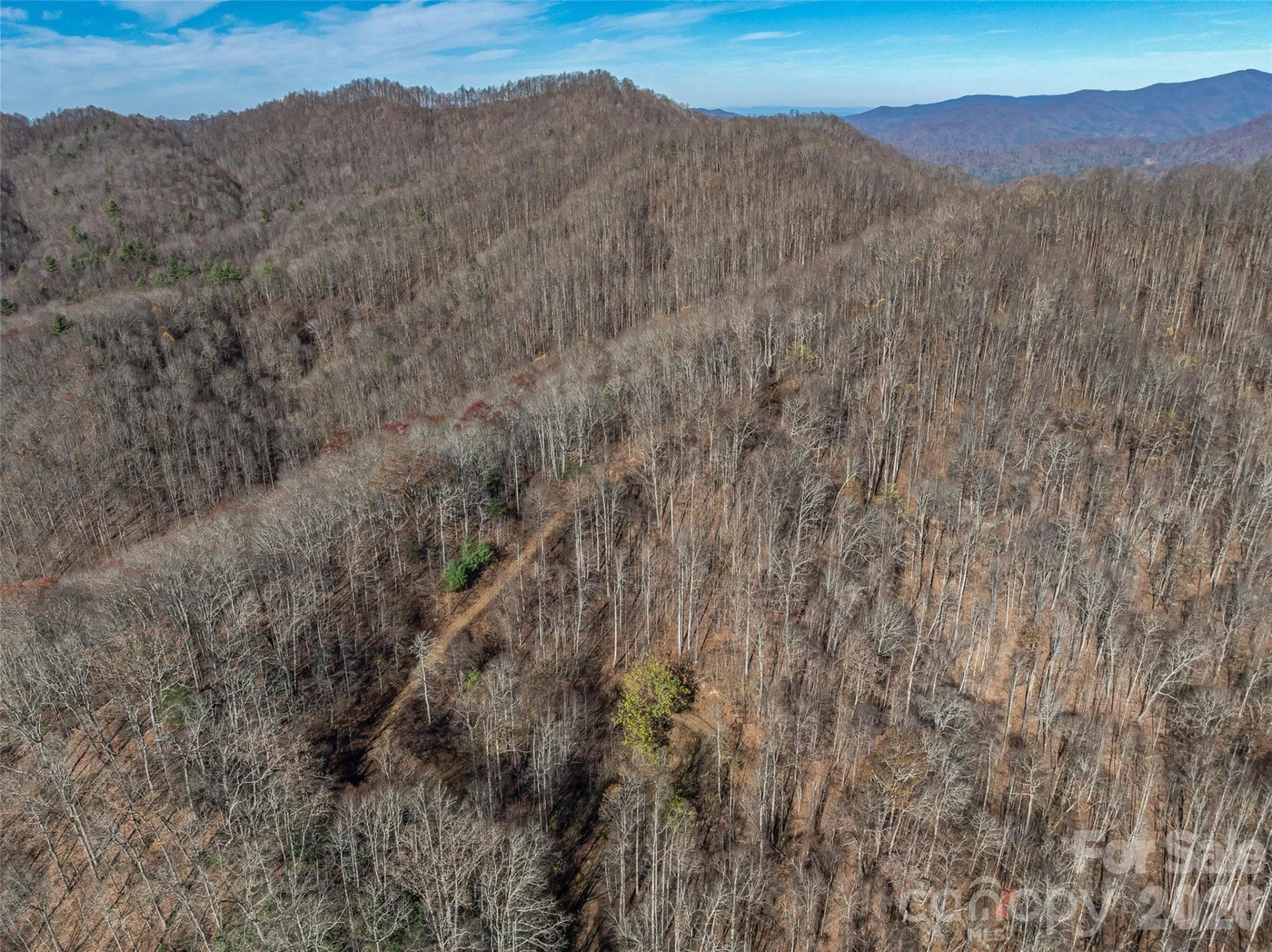 TBD Walnut Creek Road - Photo 18