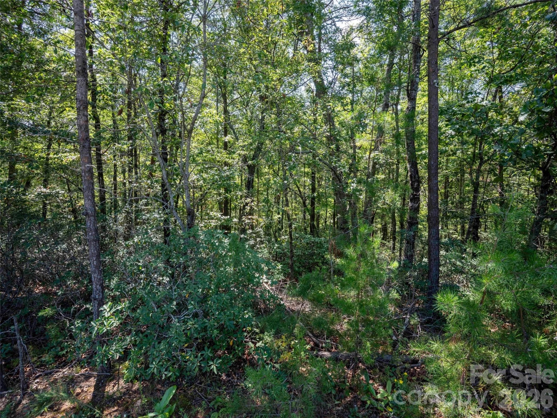 0 Deep Gap Farm Road W #2007 - Photo 2