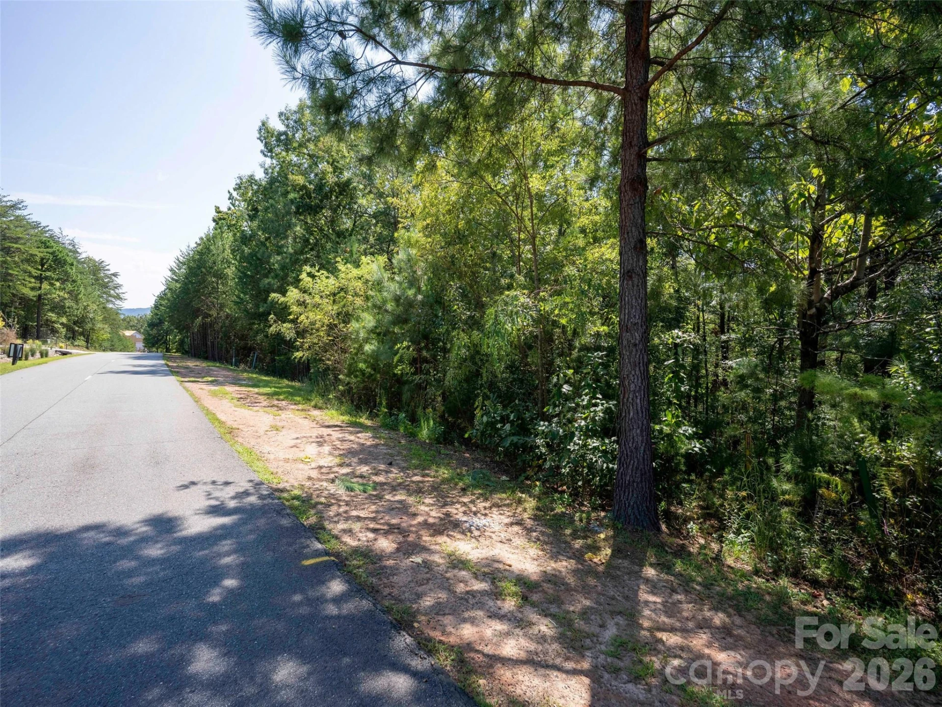 0 Deep Gap Farm Road W #2007 - Photo 3