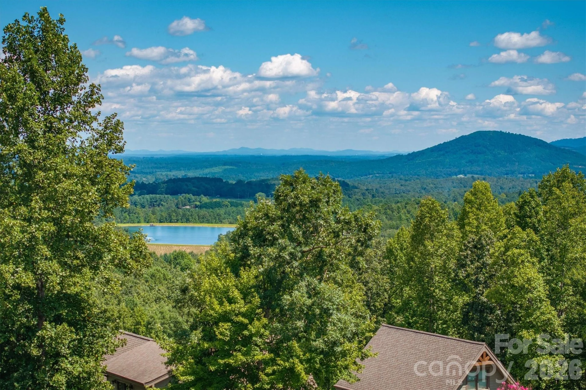 2262 Grandview Peaks Drive - Photo 5