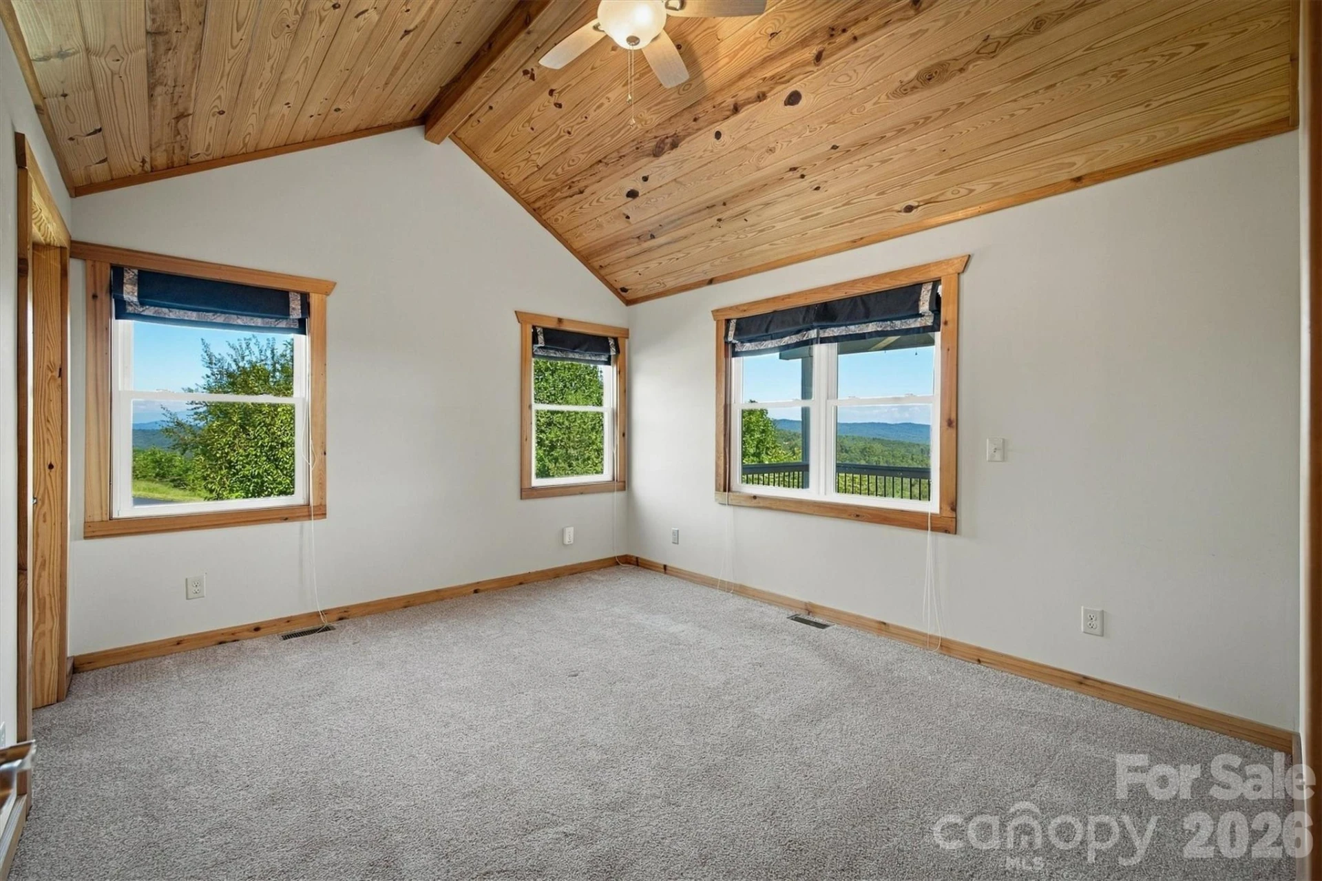 2262 Grandview Peaks Drive - Photo 26