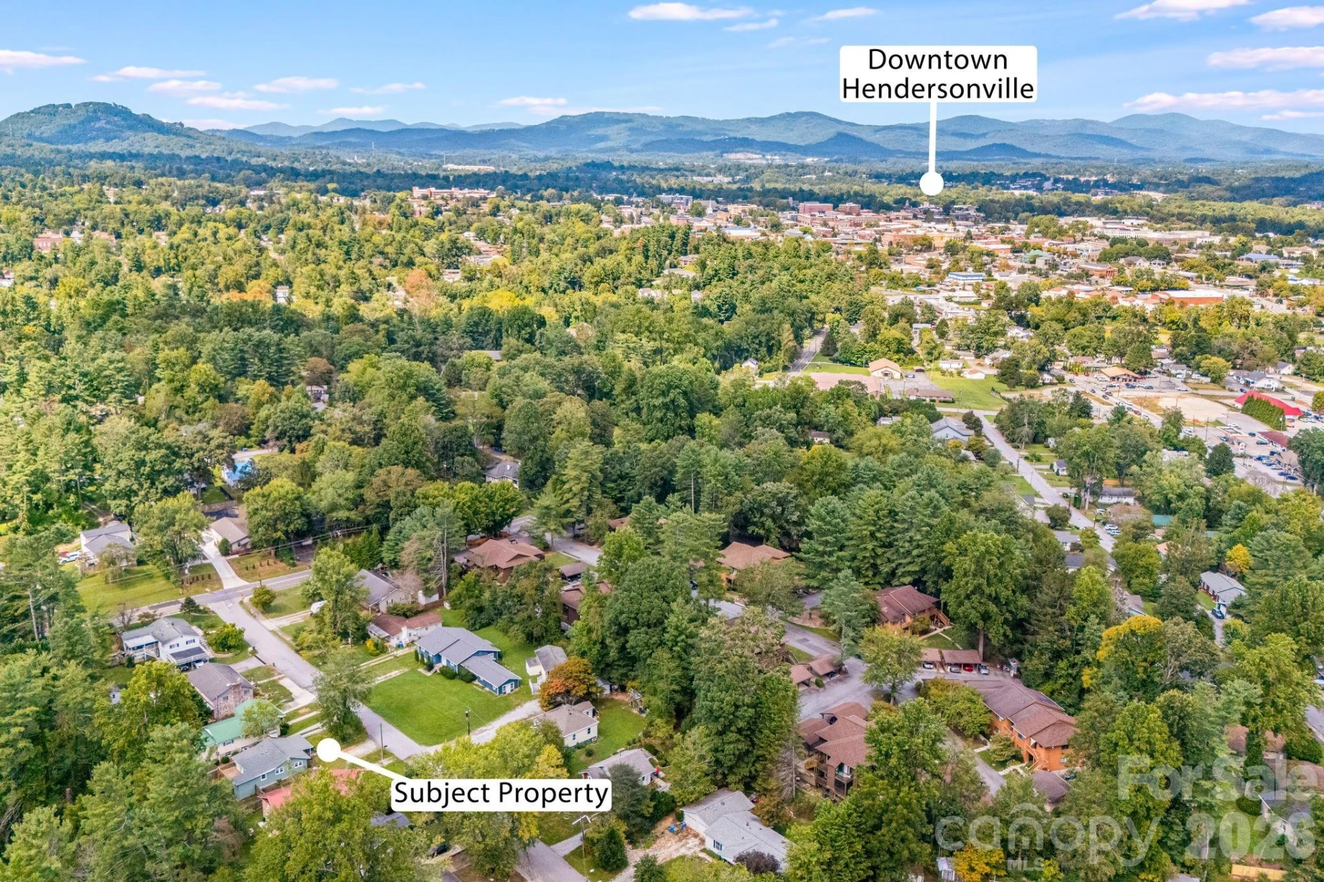 1015 Mountain View Street - Photo 33