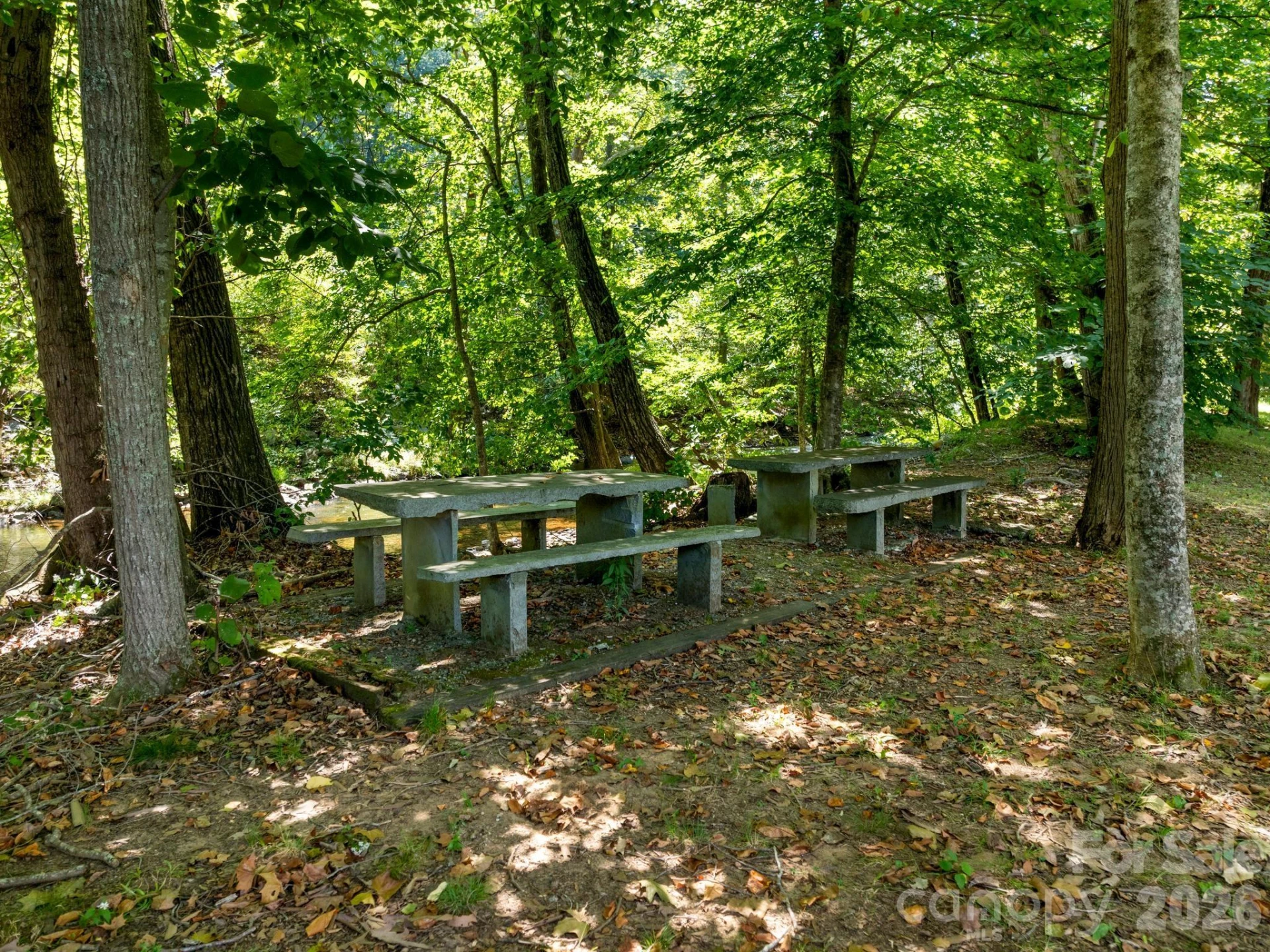 6306 Pigeon Road - Photo 8