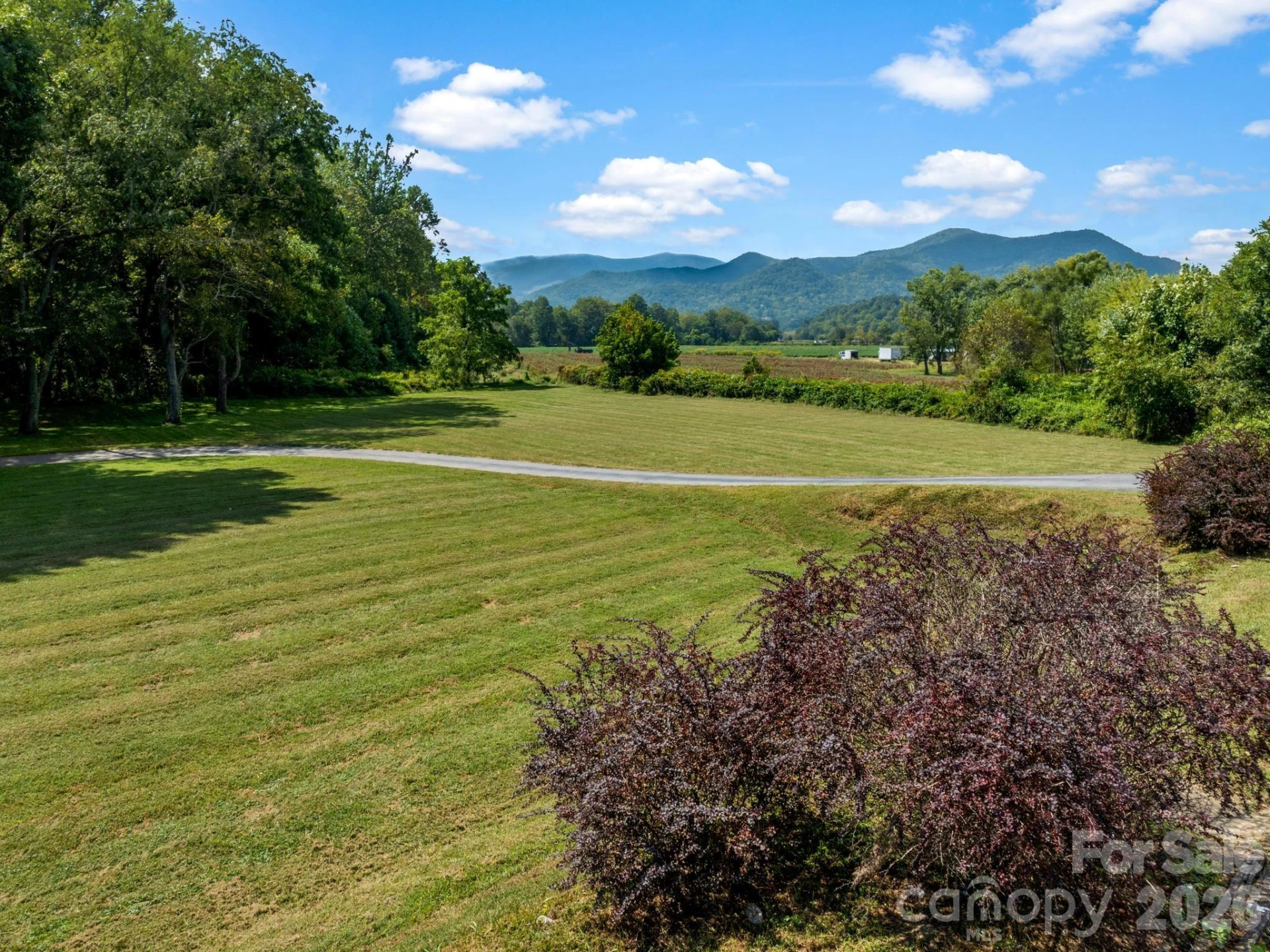6306 Pigeon Road - Photo 12