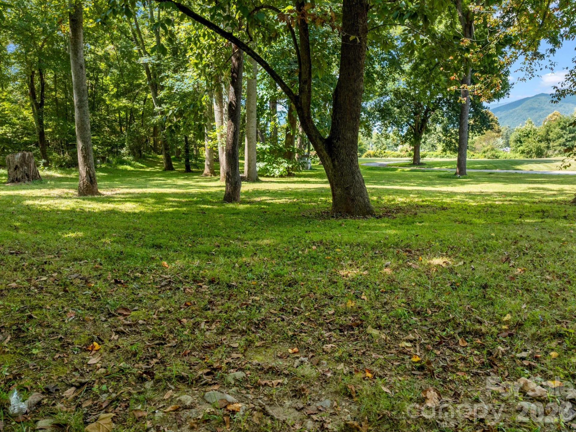 6306 Pigeon Road - Photo 14