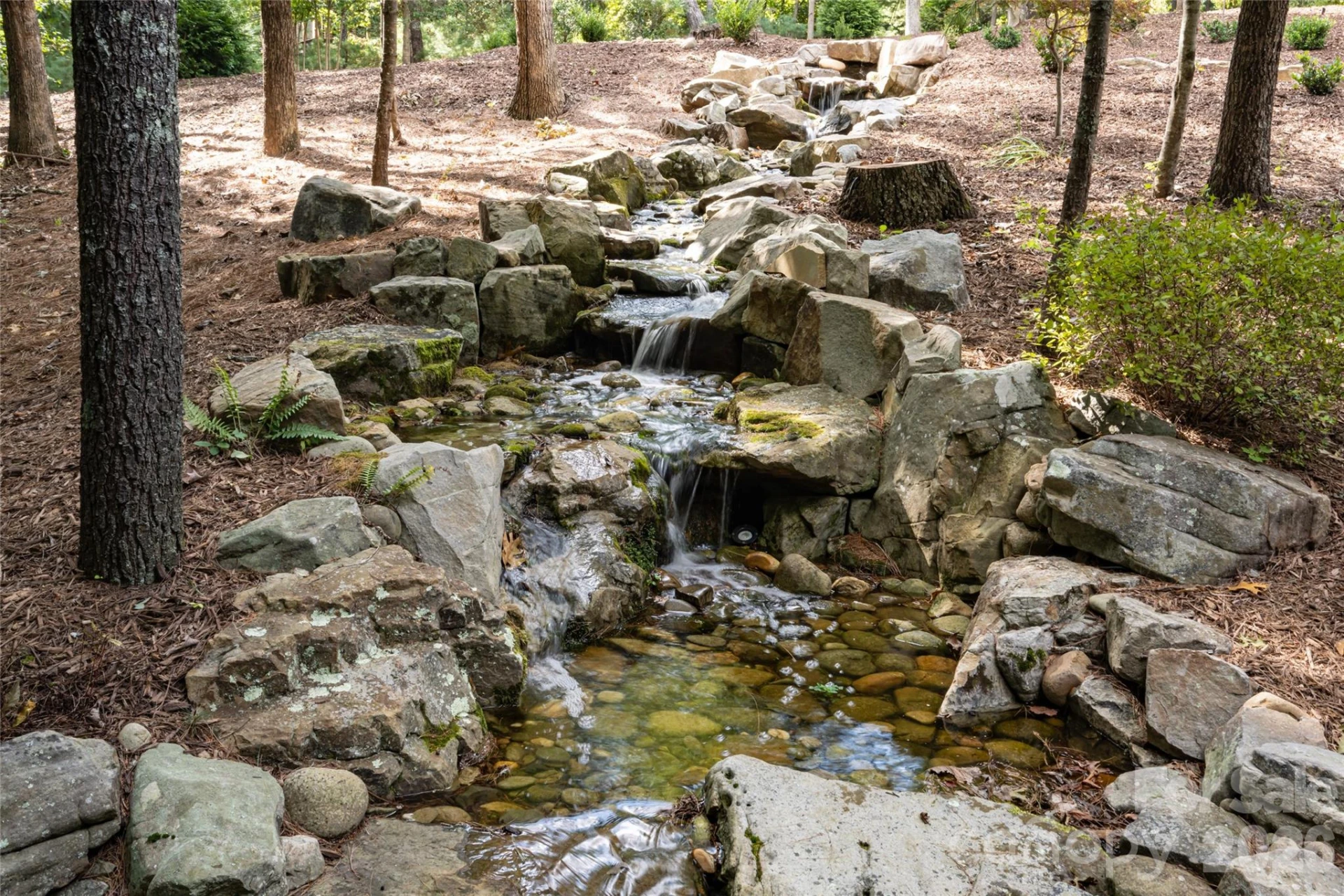 17 Falling Waters Trail - Photo 38