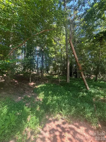 000 Pineview Court