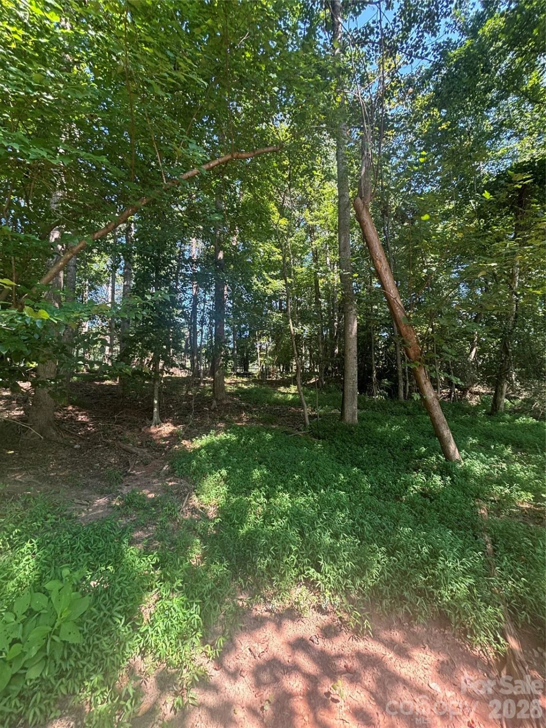 000 Pineview Court
