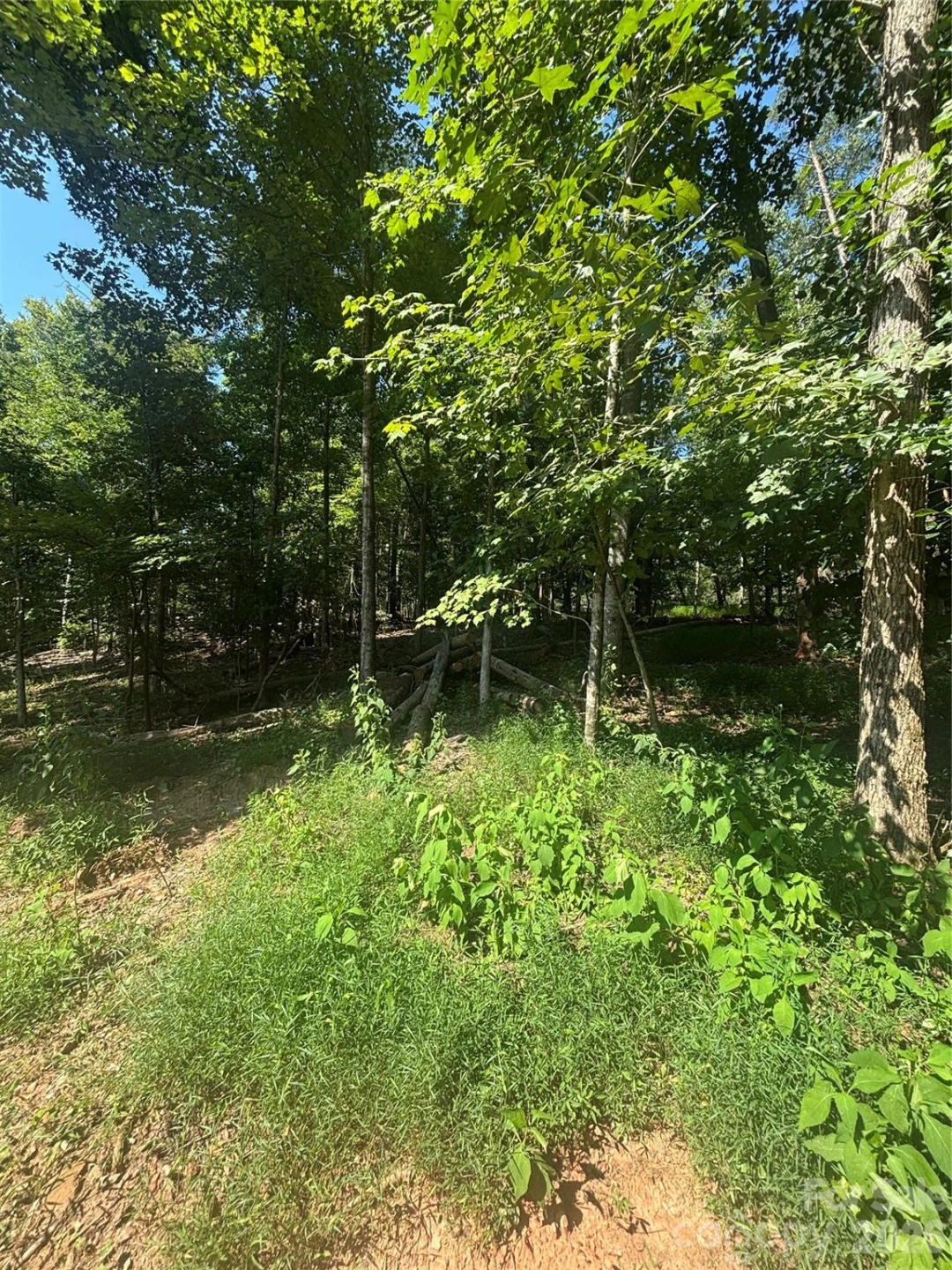 000 Pineview Court - Photo 2