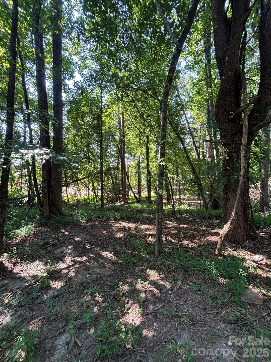 000 Pineview Court - Photo 3
