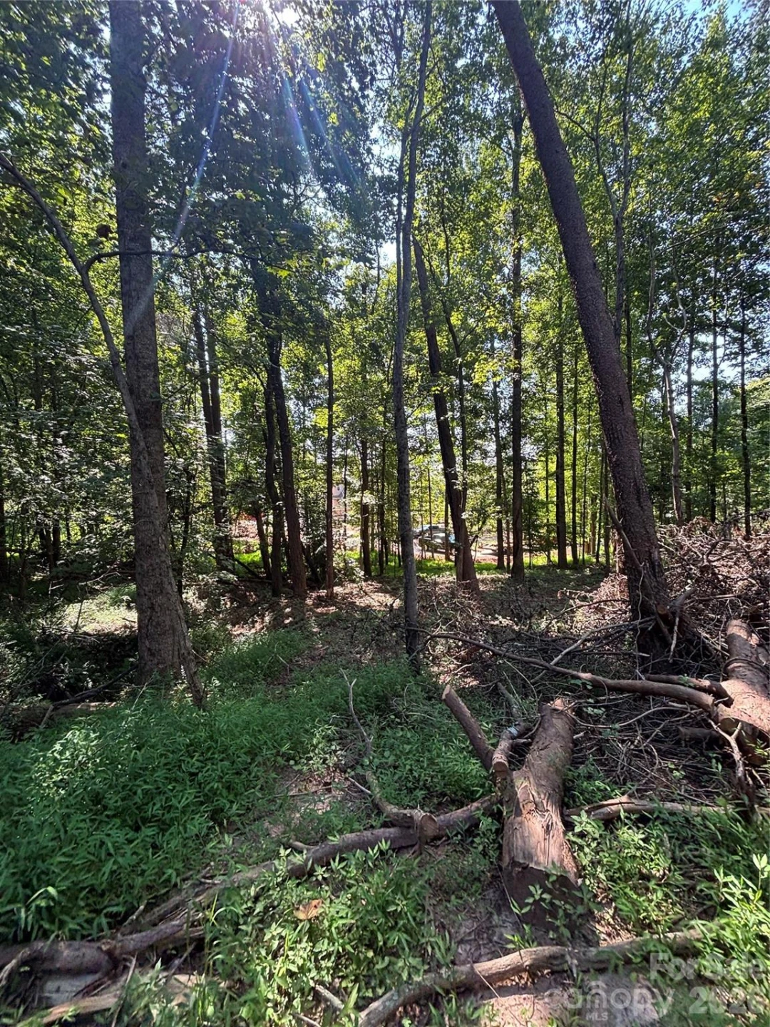 000 Pineview Court - Photo 4