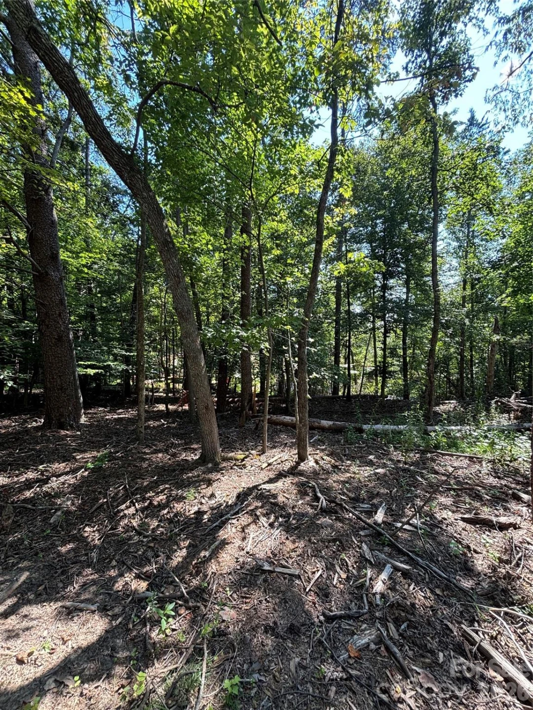 000 Pineview Court - Photo 6