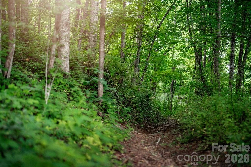 TBD W Garden Trail #57 - Photo 7