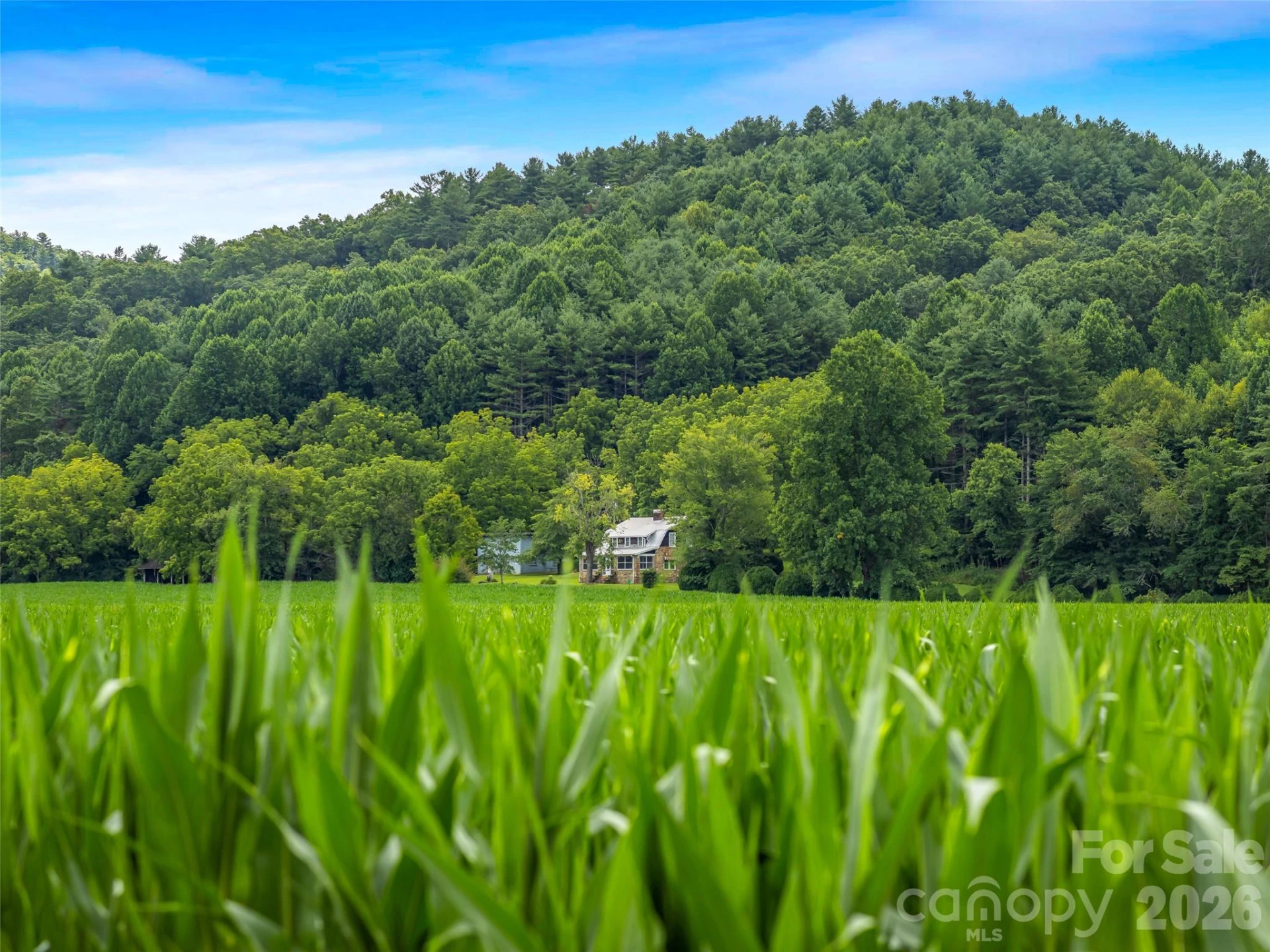96 Merle Farm Lane - Photo 11