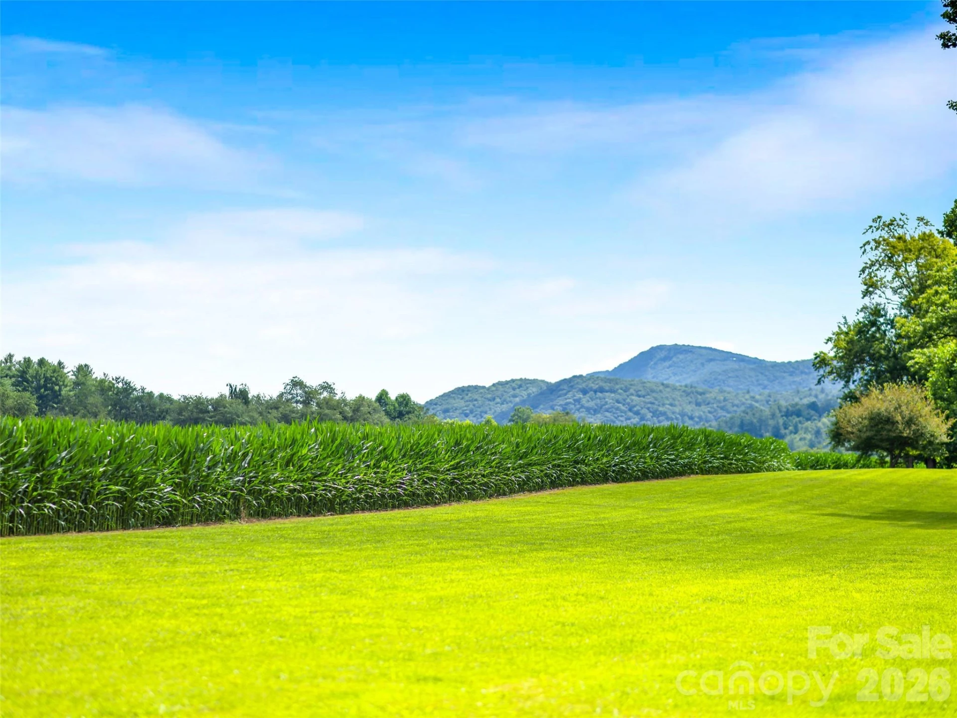 96 Merle Farm Lane - Photo 23