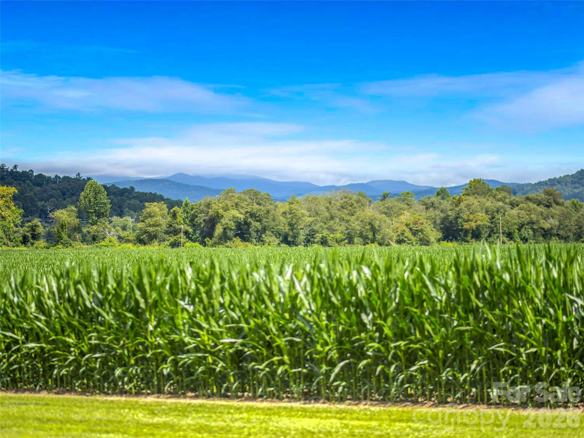 96 Merle Farm Lane - Photo 48