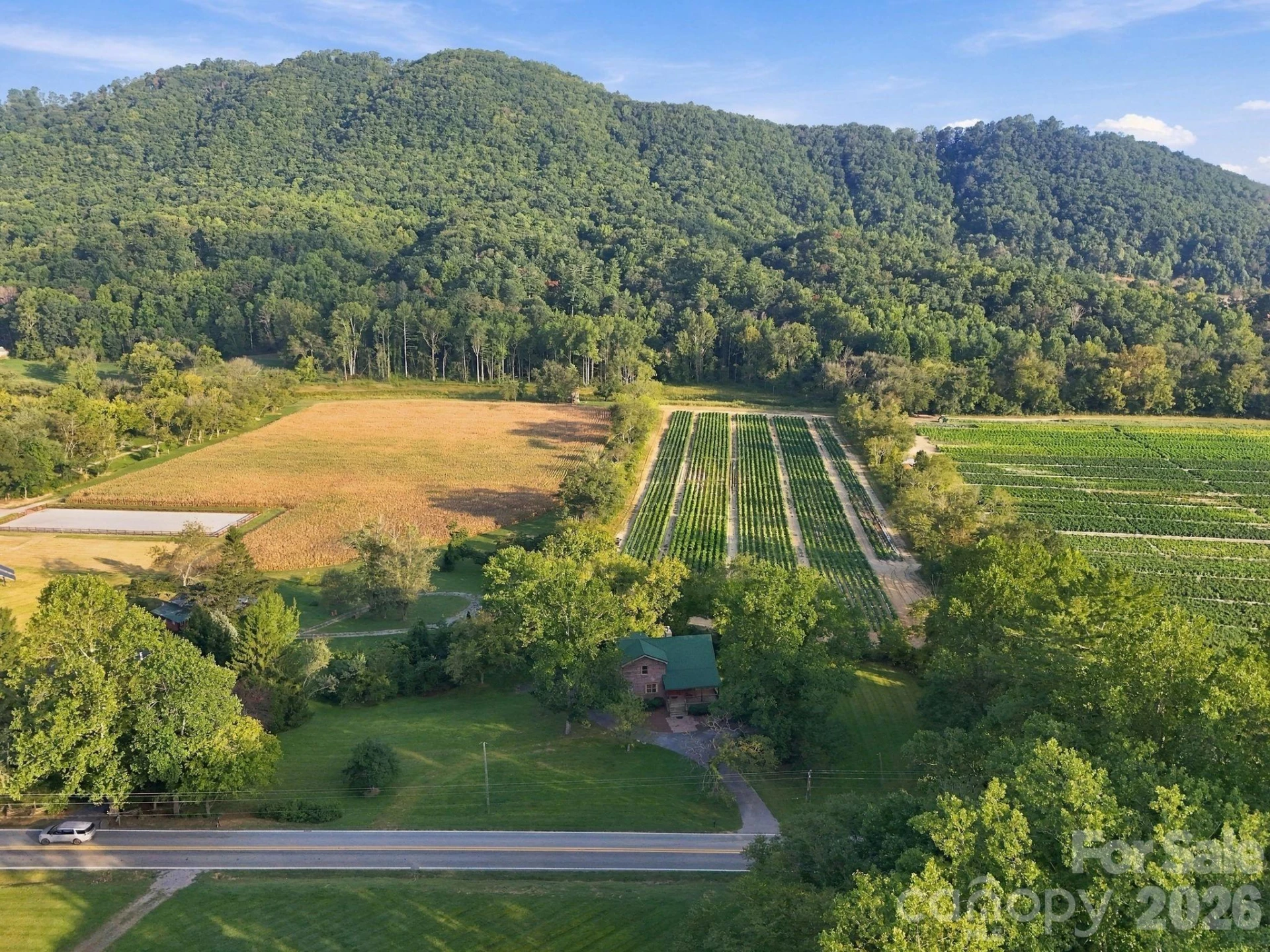 720 Cane Creek Road - Photo 3