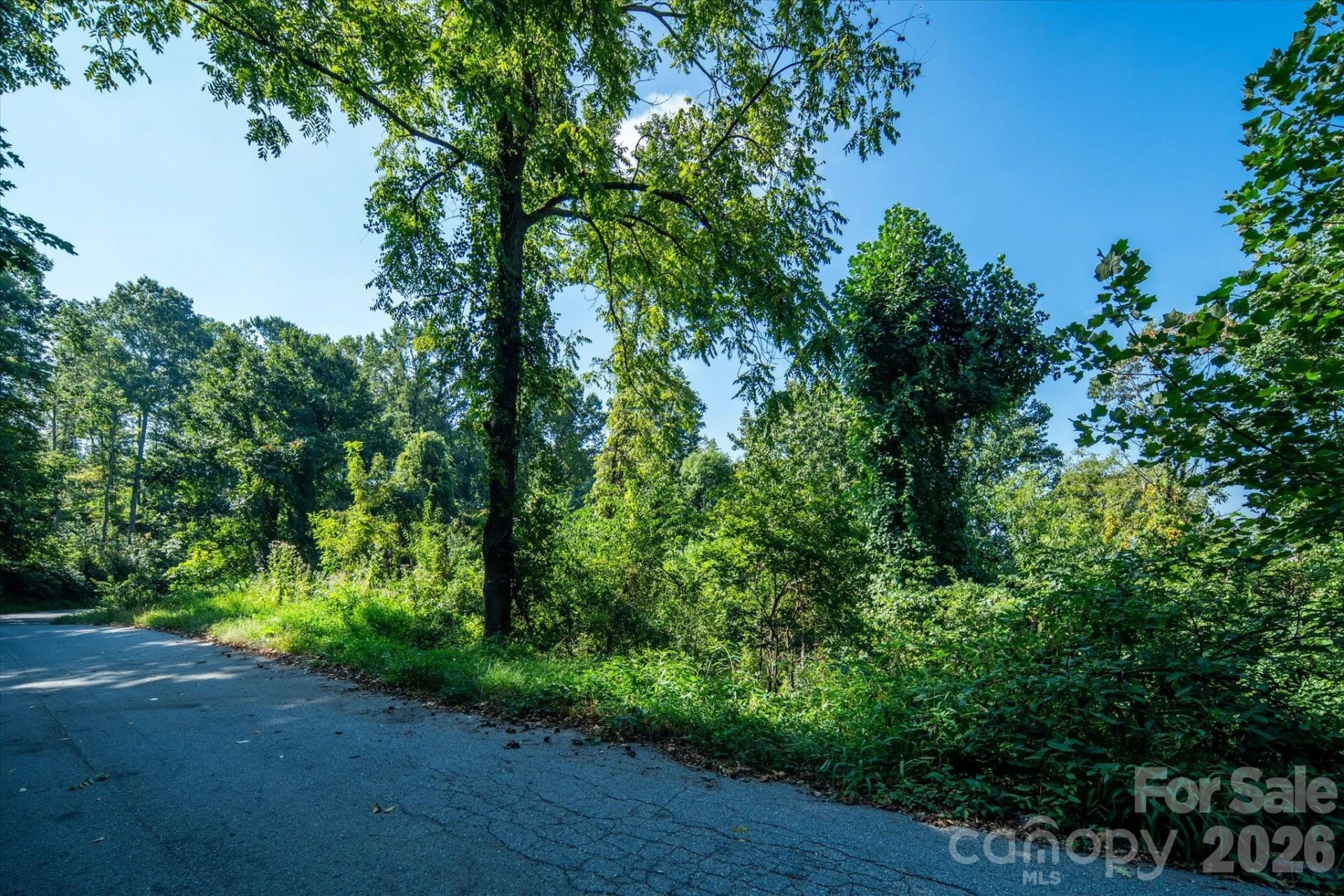 99999 Westhaven Drive #32 - Photo 5