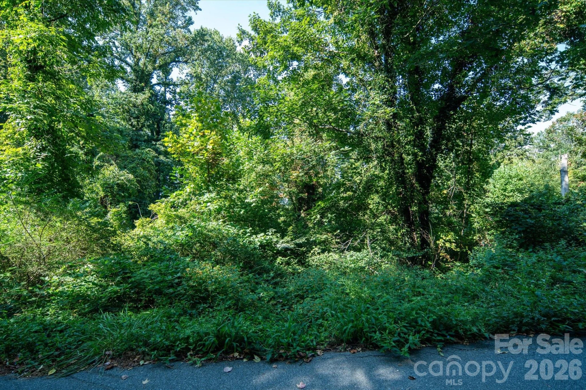 99999 Westhaven Drive #32 - Photo 7