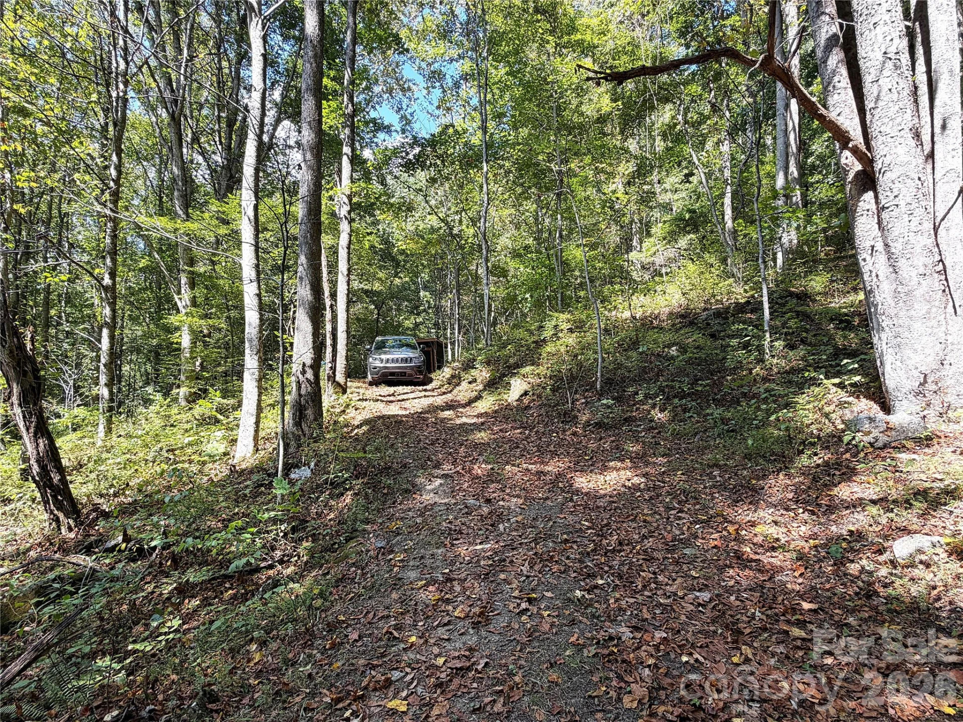 9999 NC 209 Highway - Photo 18