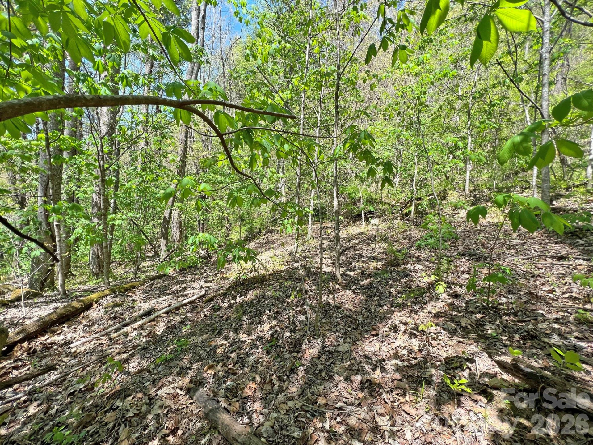 9999 NC 209 Highway - Photo 19