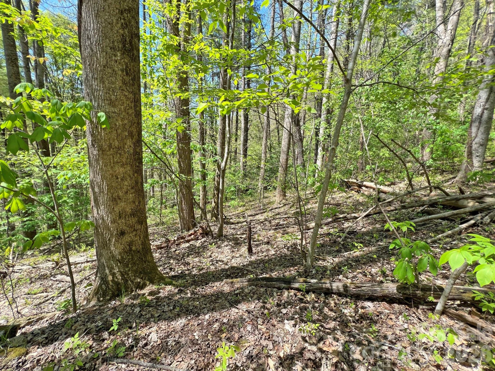 9999 NC 209 Highway - Photo 22