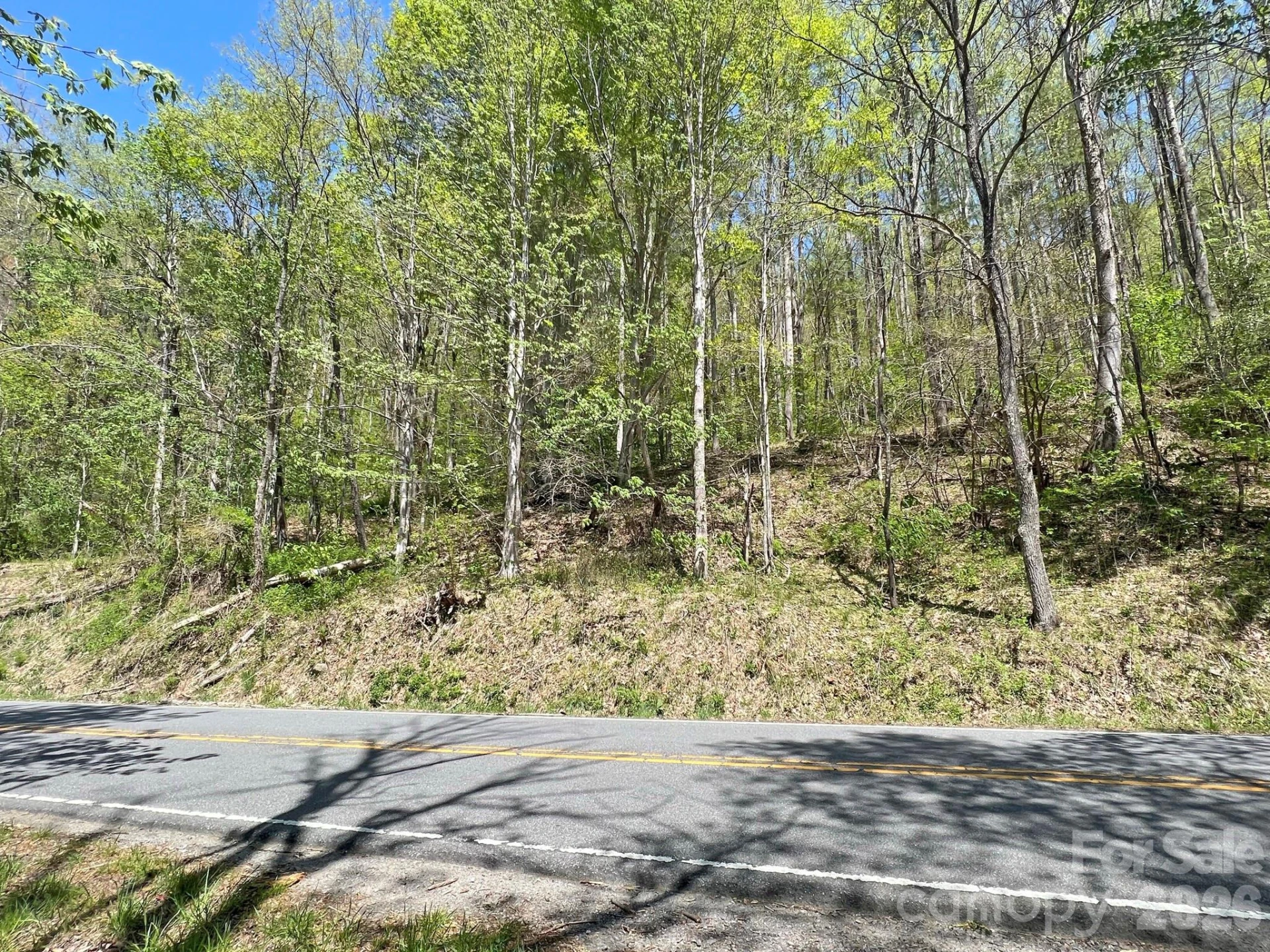 9999 NC 209 Highway - Photo 26