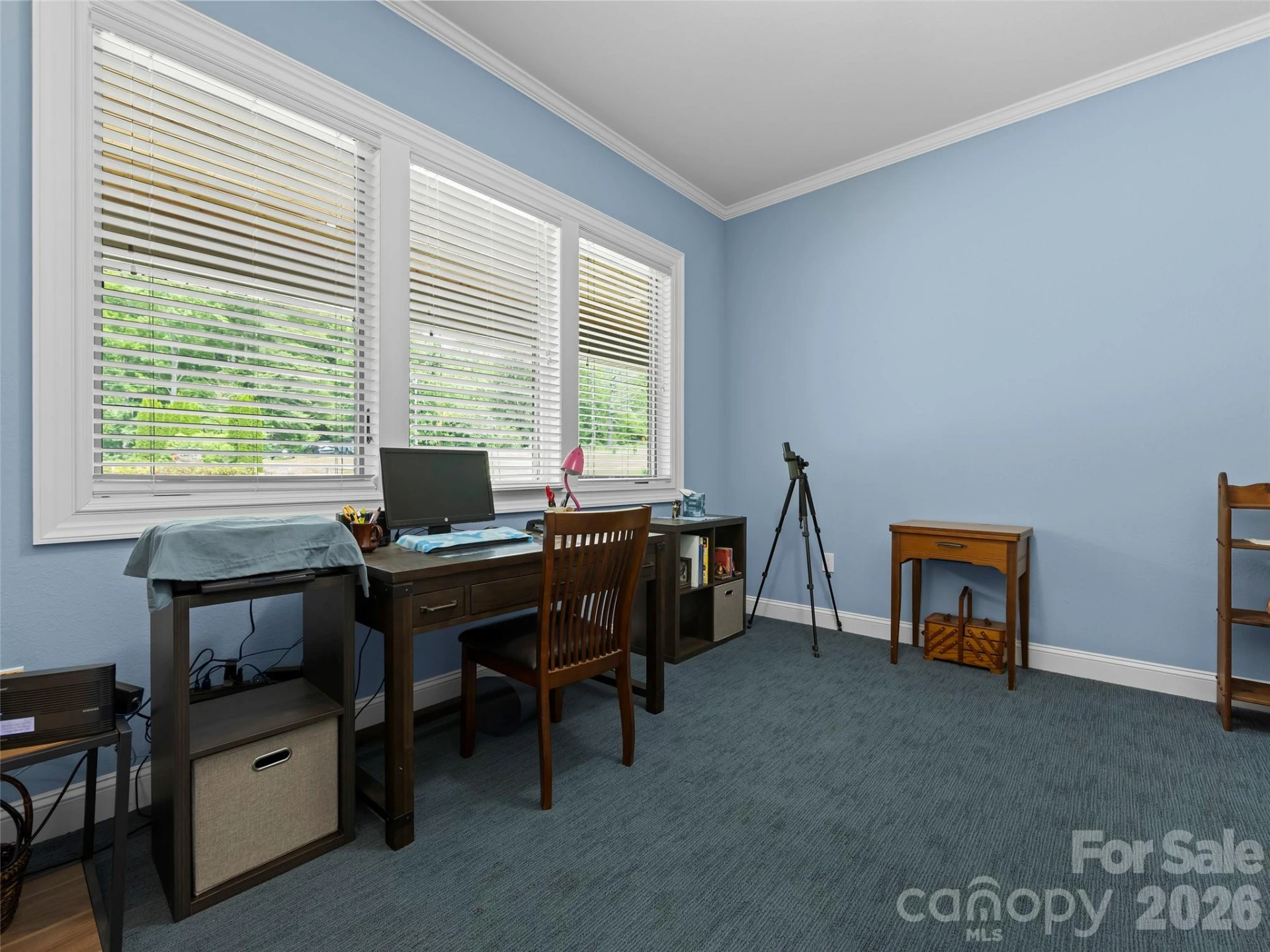 40 Shining Rock Drive - Photo 12