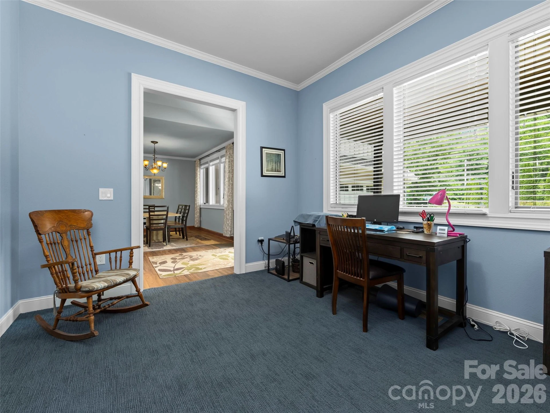 40 Shining Rock Drive - Photo 13