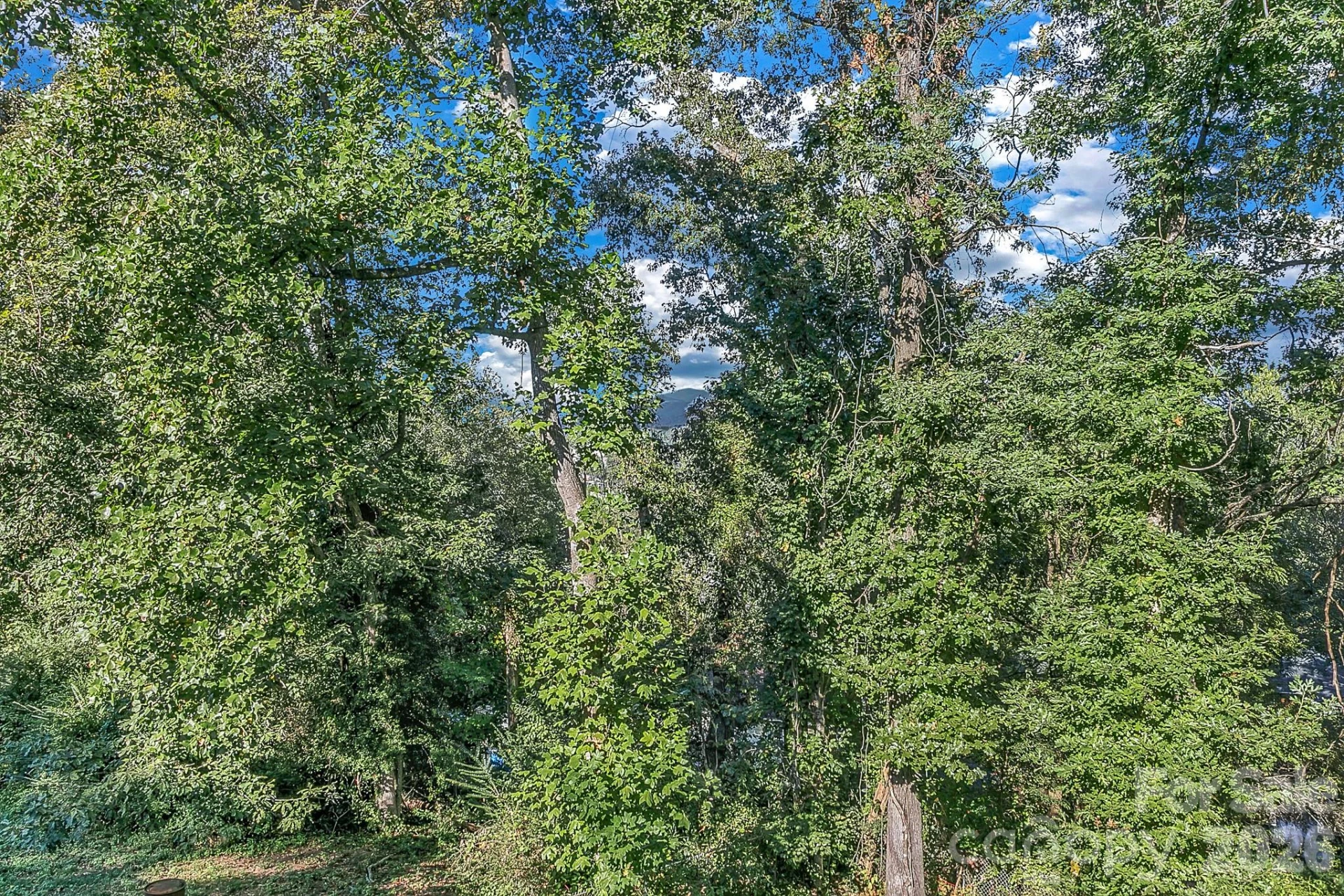 148 Stradley Mountain Road - Photo 34