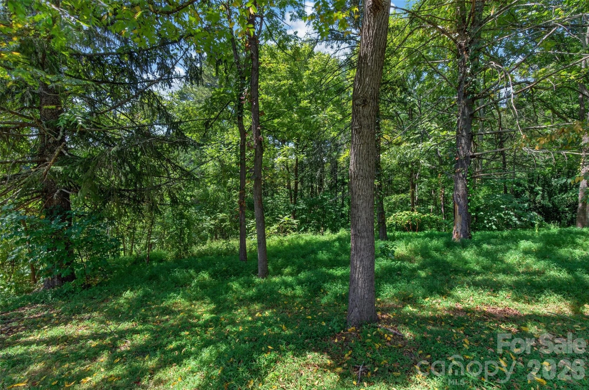 266 Starnes Cove Road - Photo 28