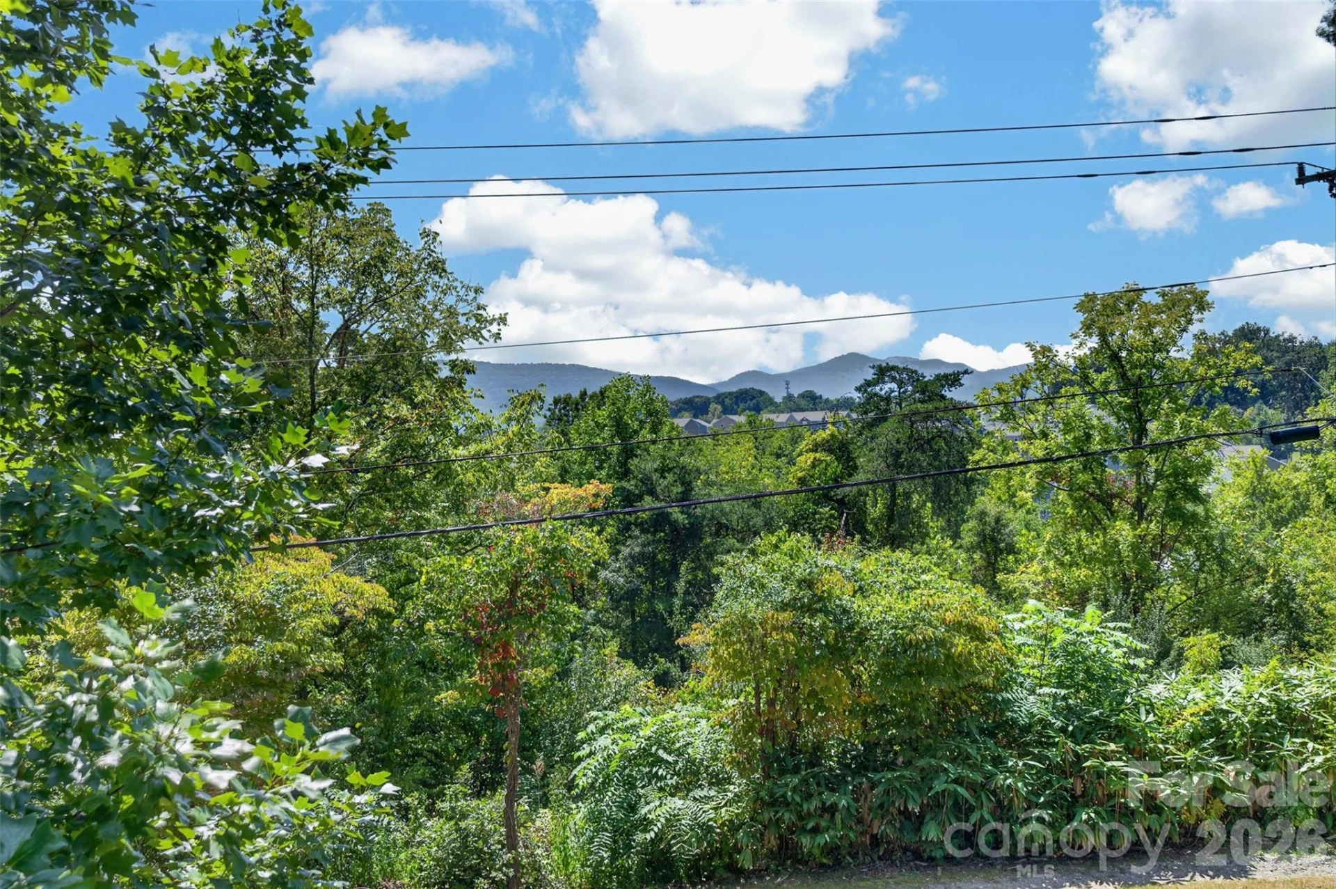 266 Starnes Cove Road - Photo 33
