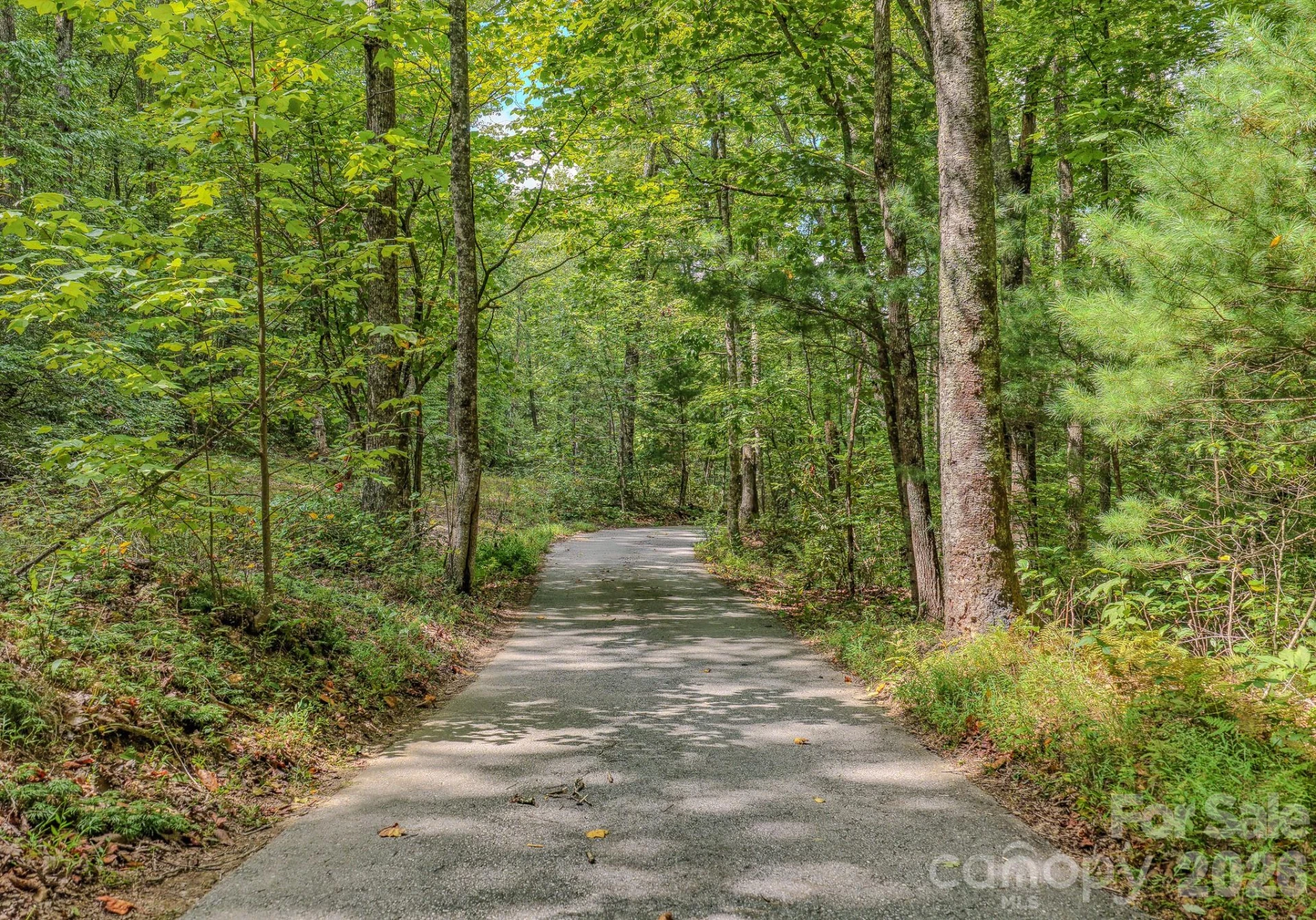 633 Kingdom Place - Photo 35