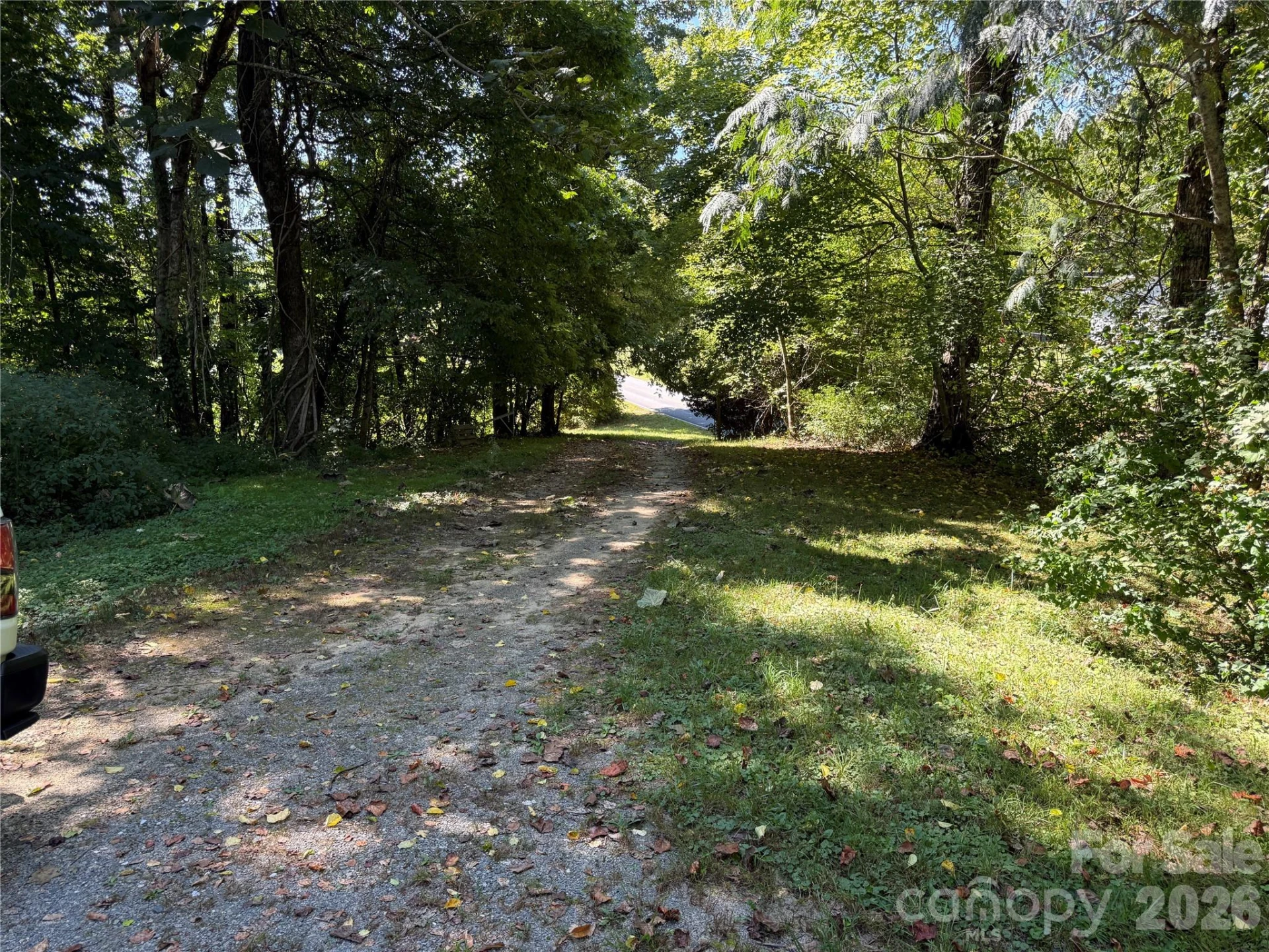 137 Nancy Mountain Road - Photo 3