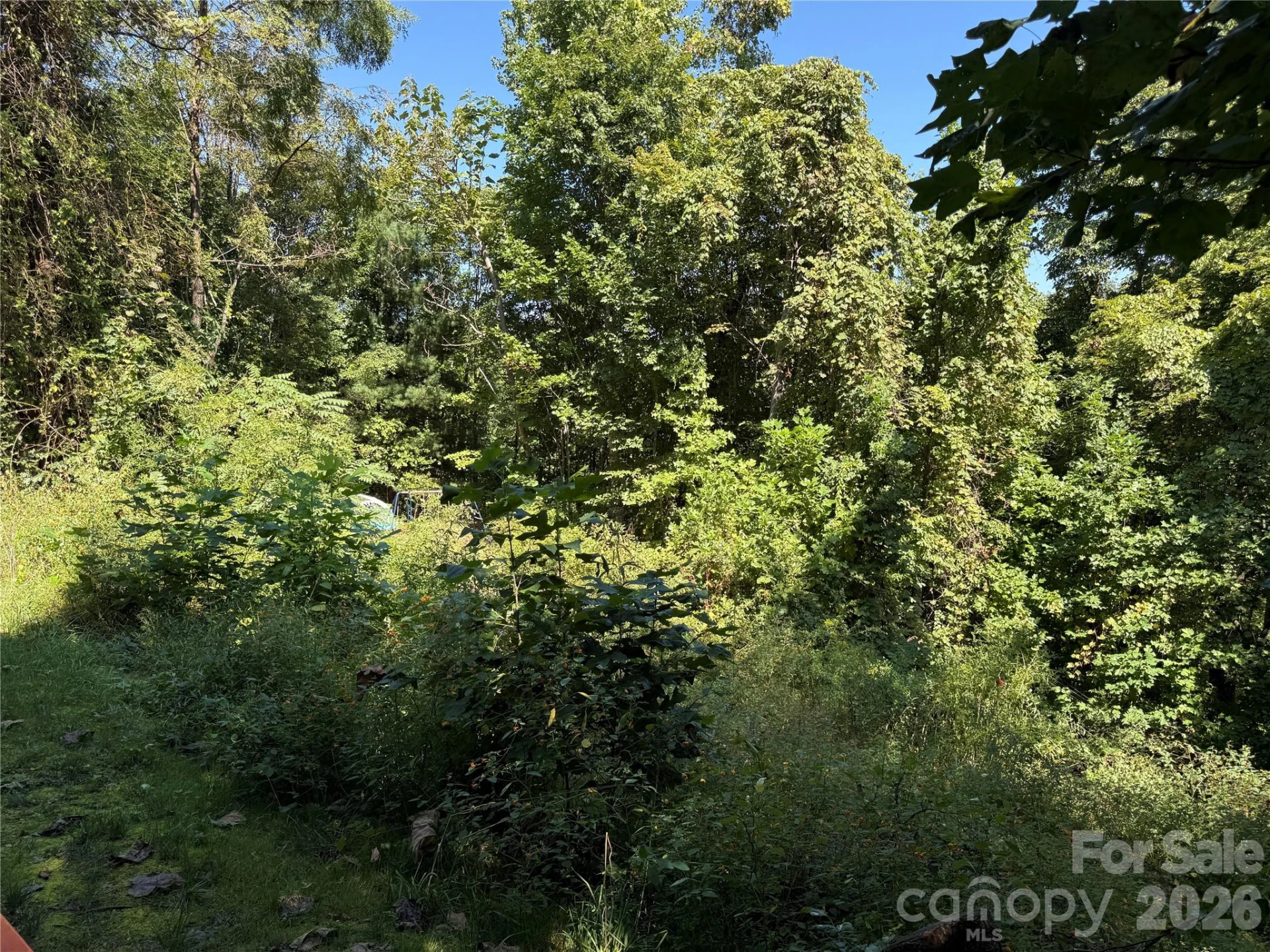 137 Nancy Mountain Road - Photo 4