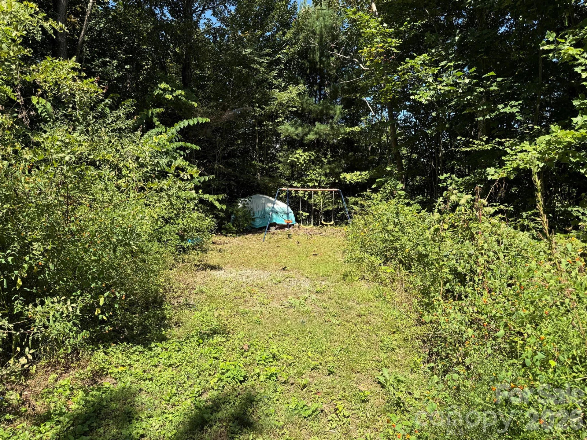 137 Nancy Mountain Road - Photo 8