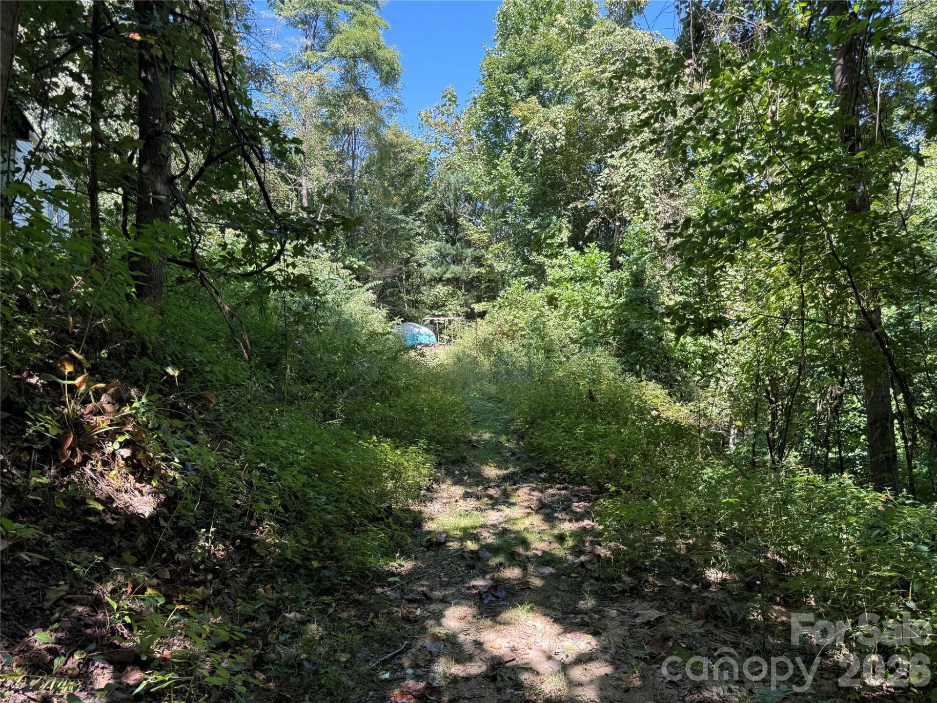 137 Nancy Mountain Road - Photo 9