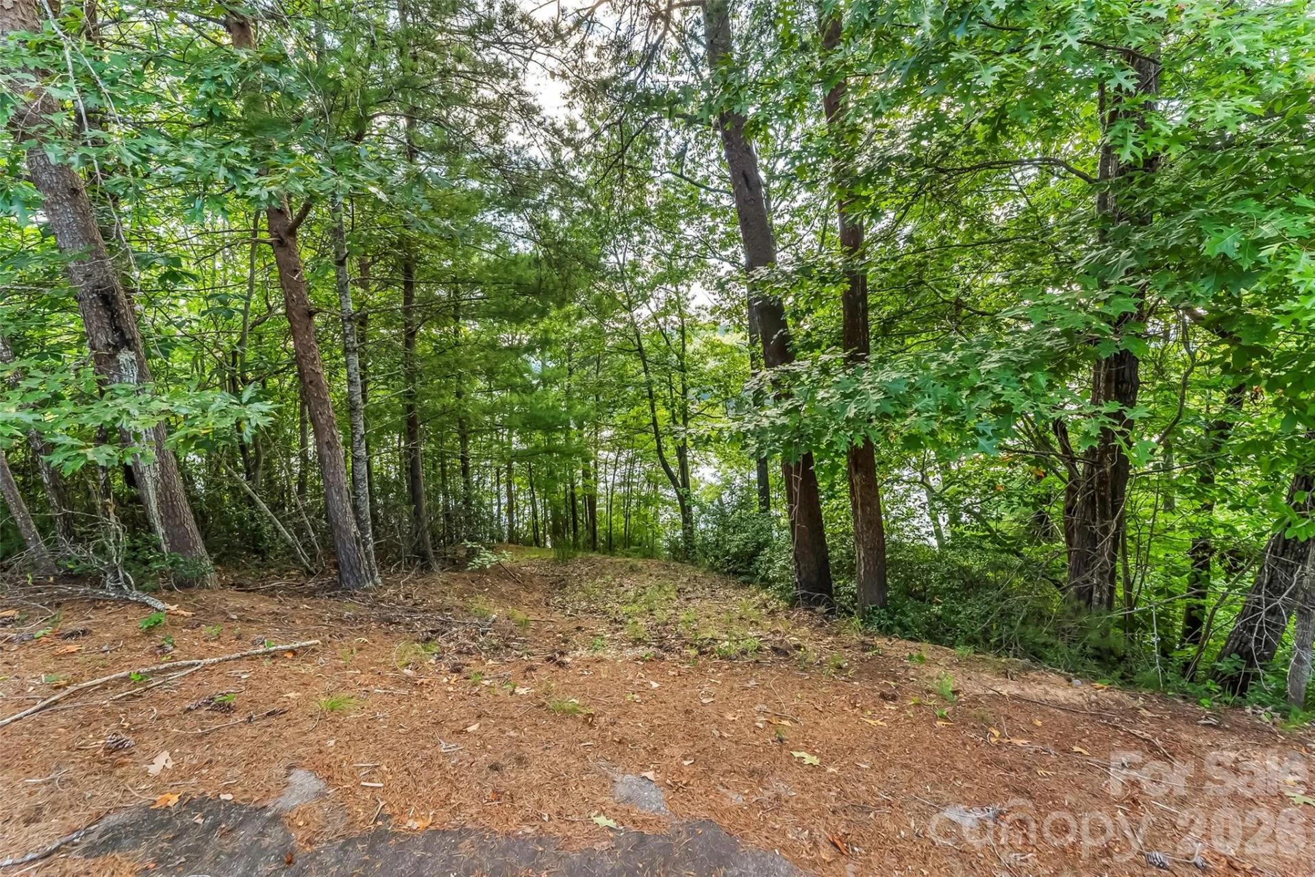 84 Peninsula Drive #3 - Photo 19