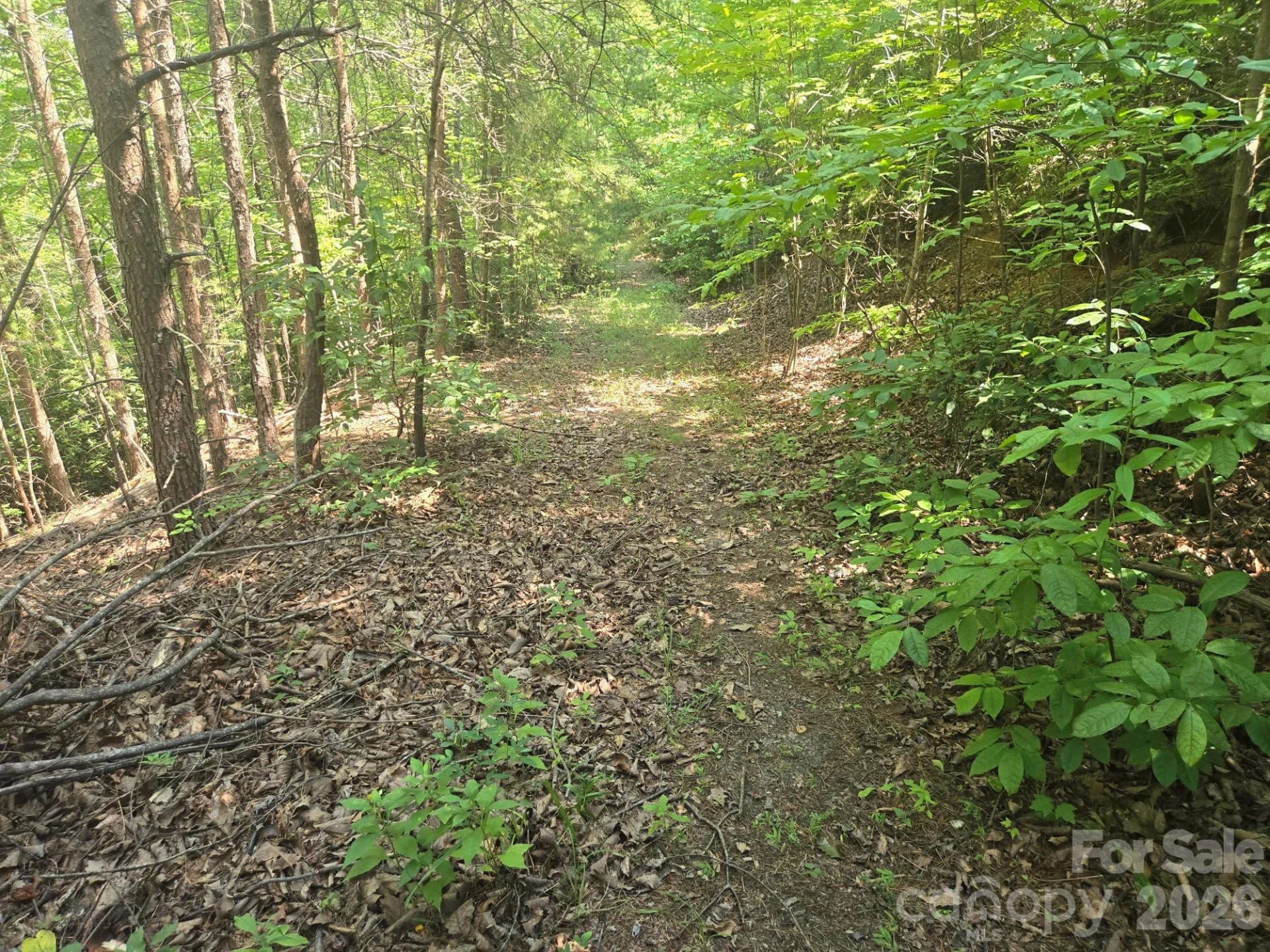 Lot 1 & 2 Eagles Crest Way - Photo 4