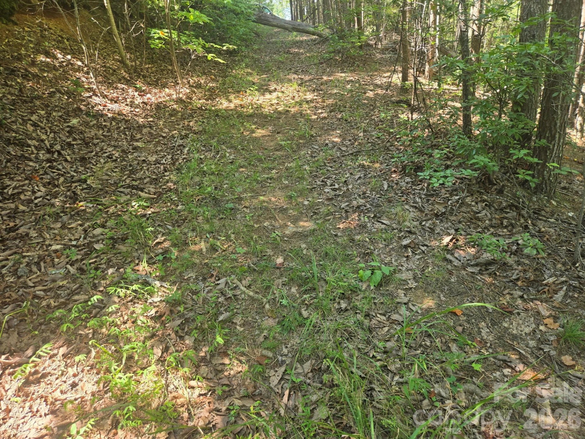 Lot 1 & 2 Eagles Crest Way - Photo 5