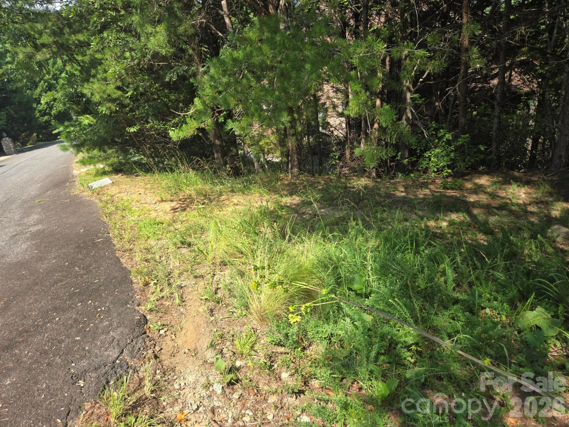 Lot 1 & 2 Eagles Crest Way - Photo 6