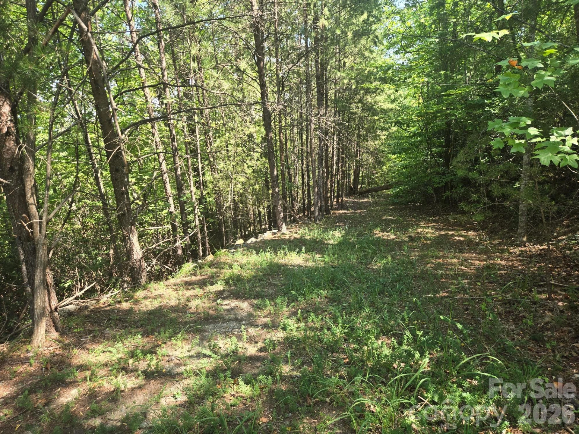 Lot 1 & 2 Eagles Crest Way - Photo 7