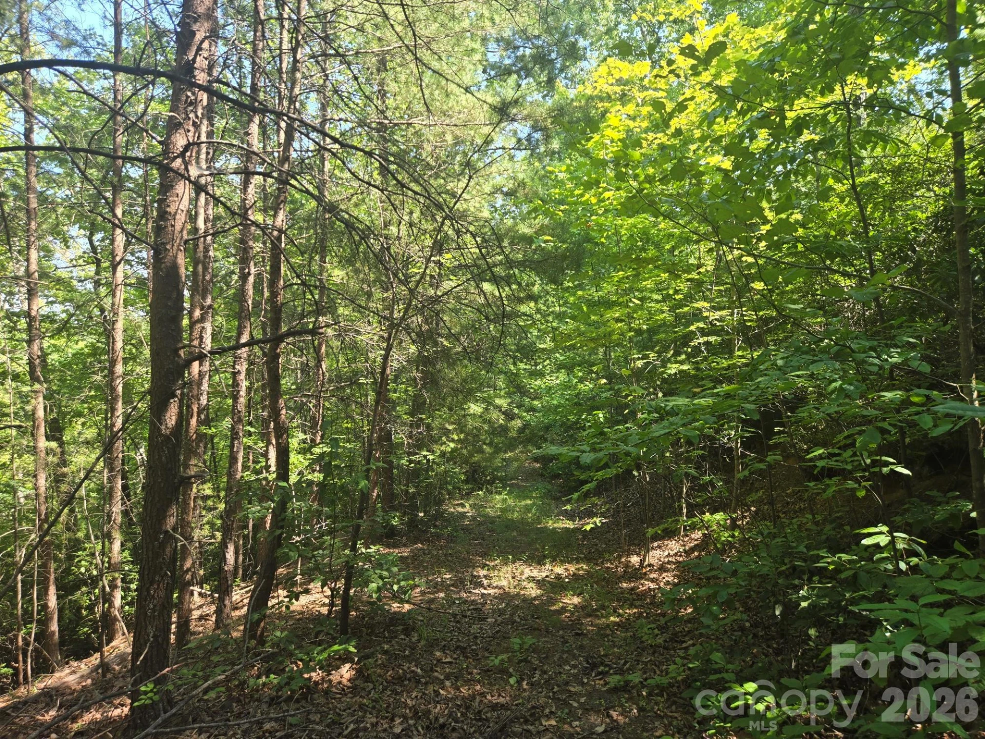Lot 1 & 2 Eagles Crest Way - Photo 10