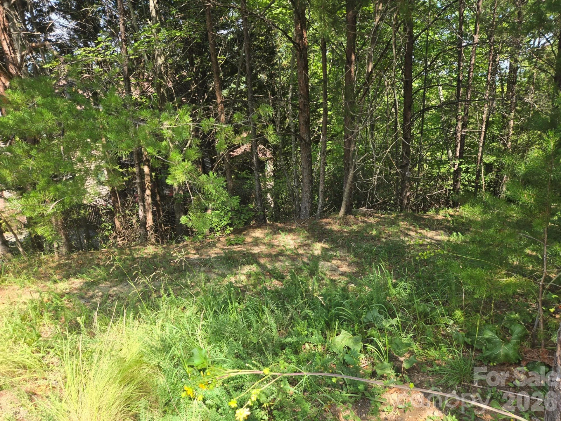 Lot 1 & 2 Eagles Crest Way - Photo 11