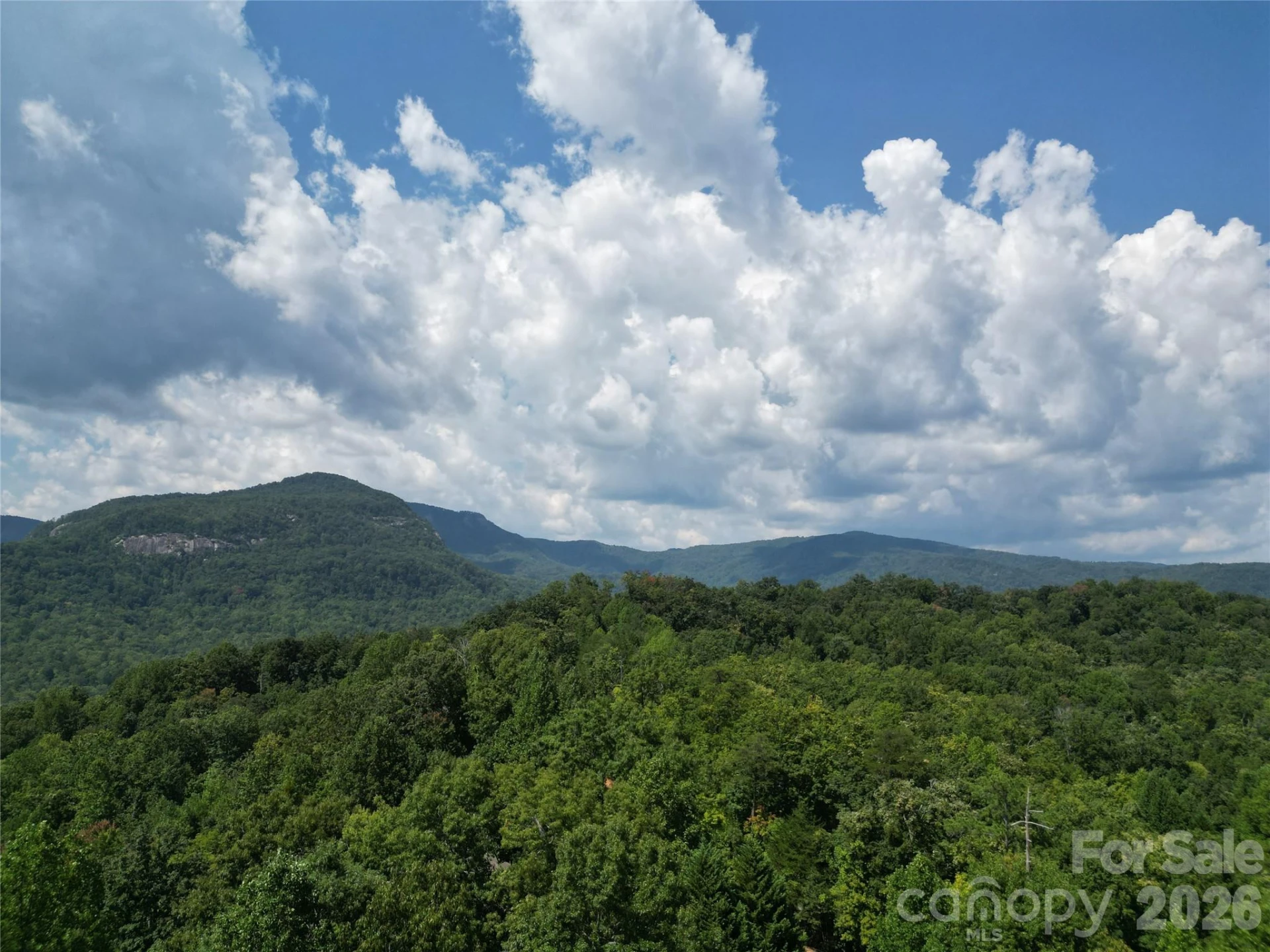Lot 1 & 2 Eagles Crest Way - Photo 12